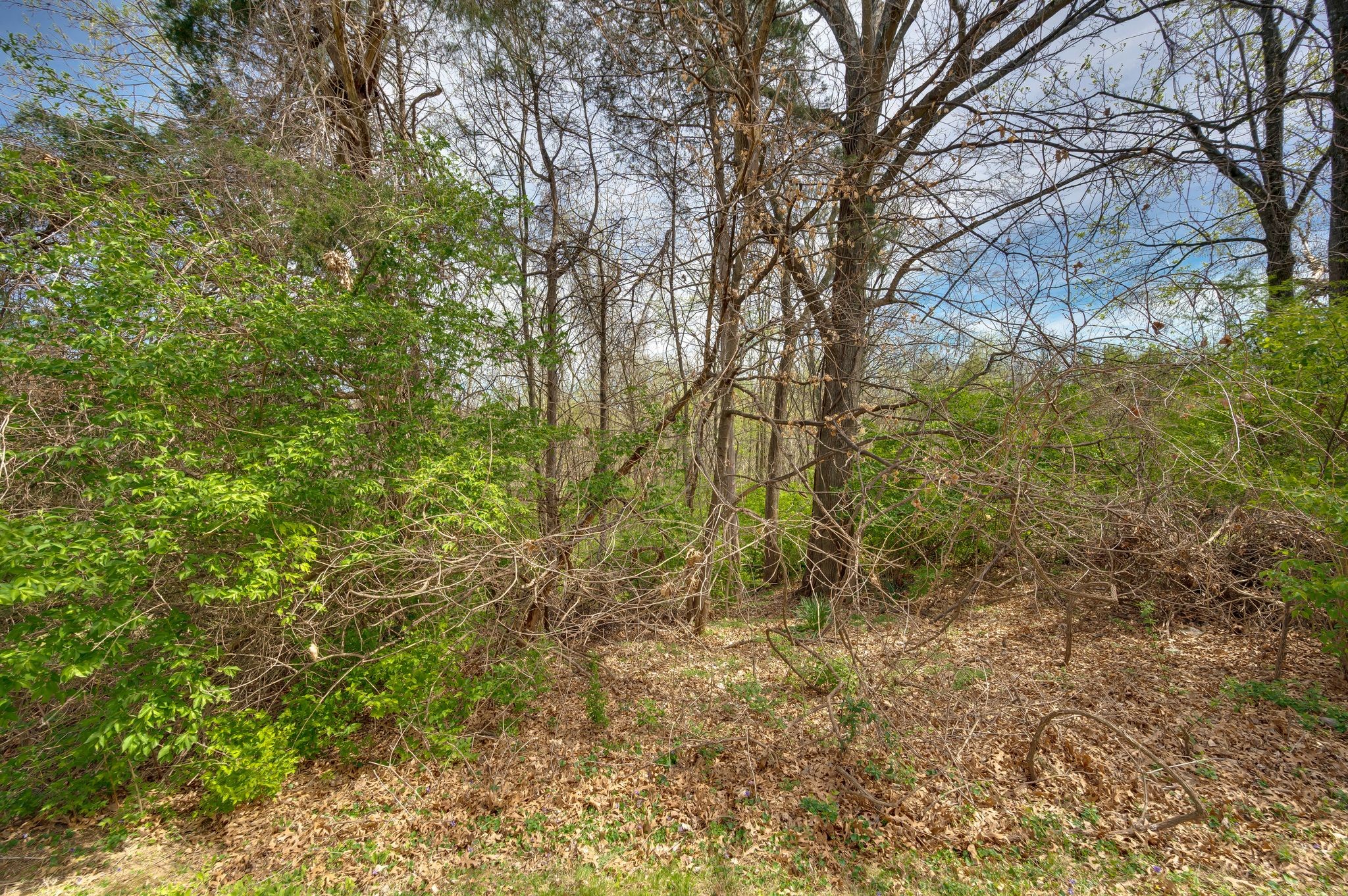 104 Woodfield Ct