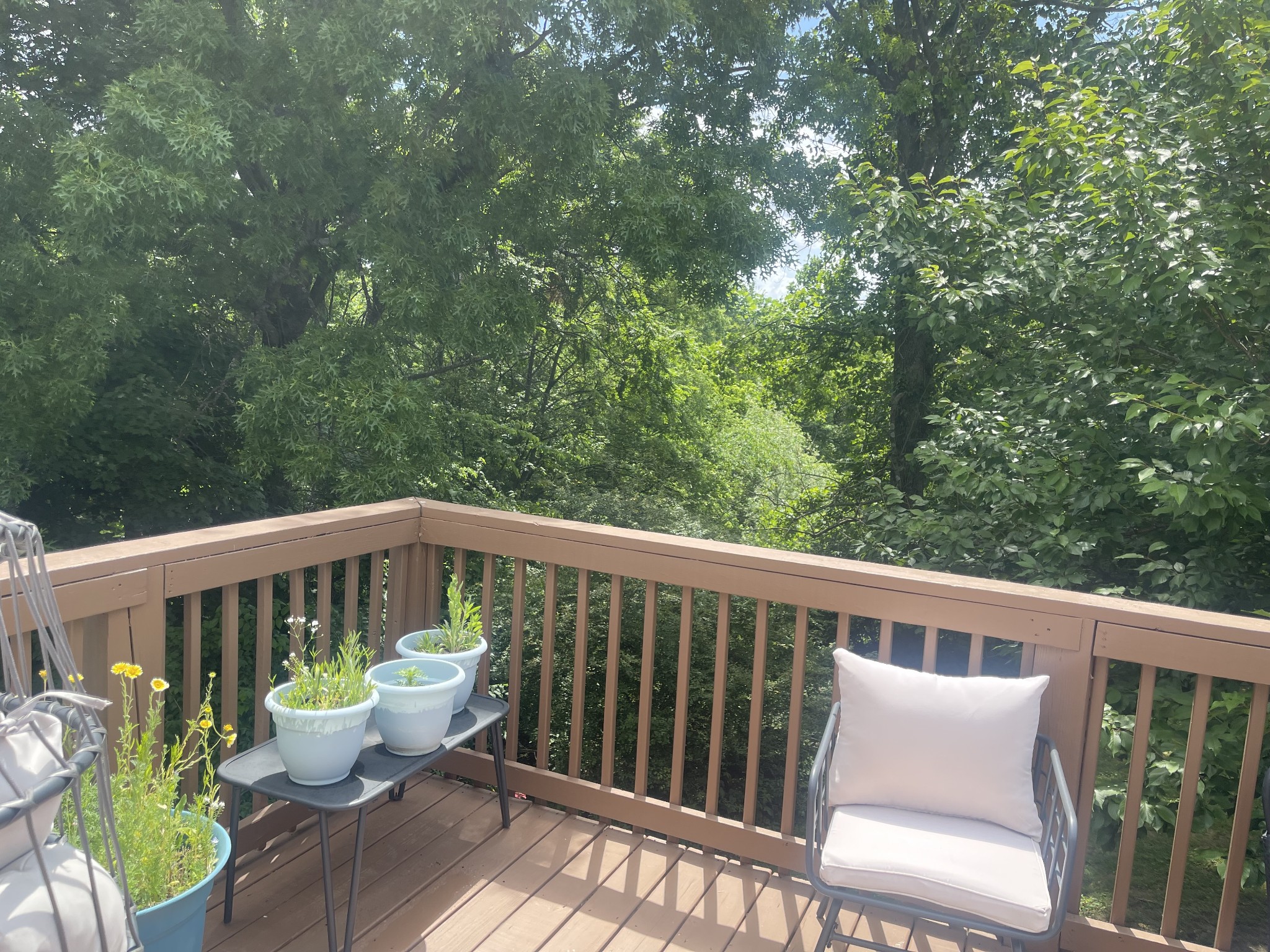 104 Woodfield Ct