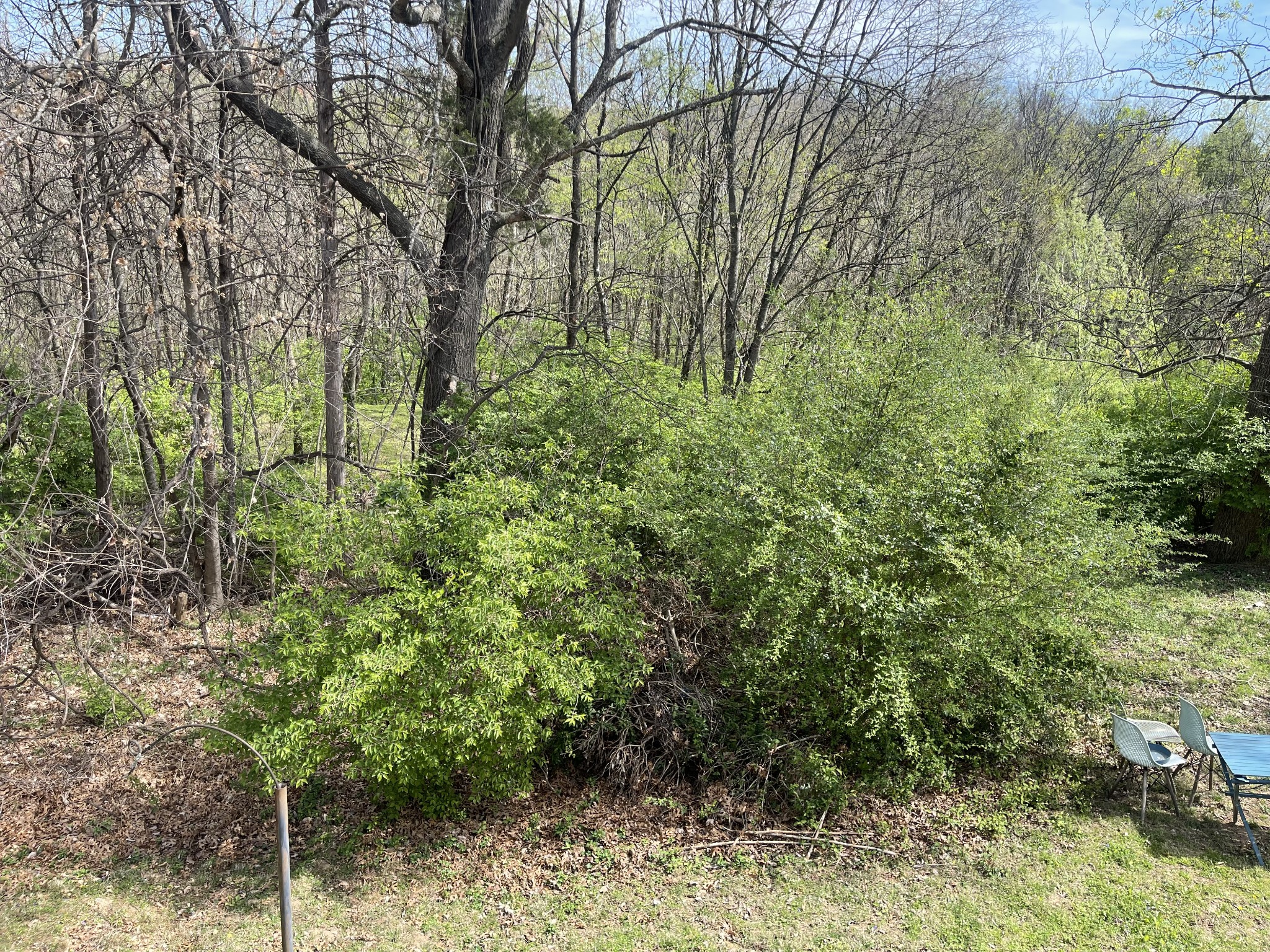 104 Woodfield Ct