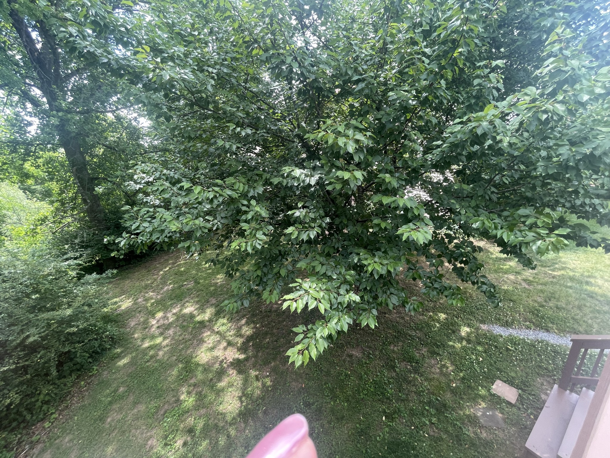 104 Woodfield Ct