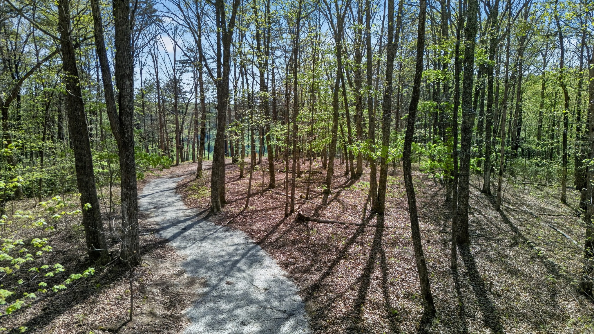 2076 Timberwood Trace Lots 317&318