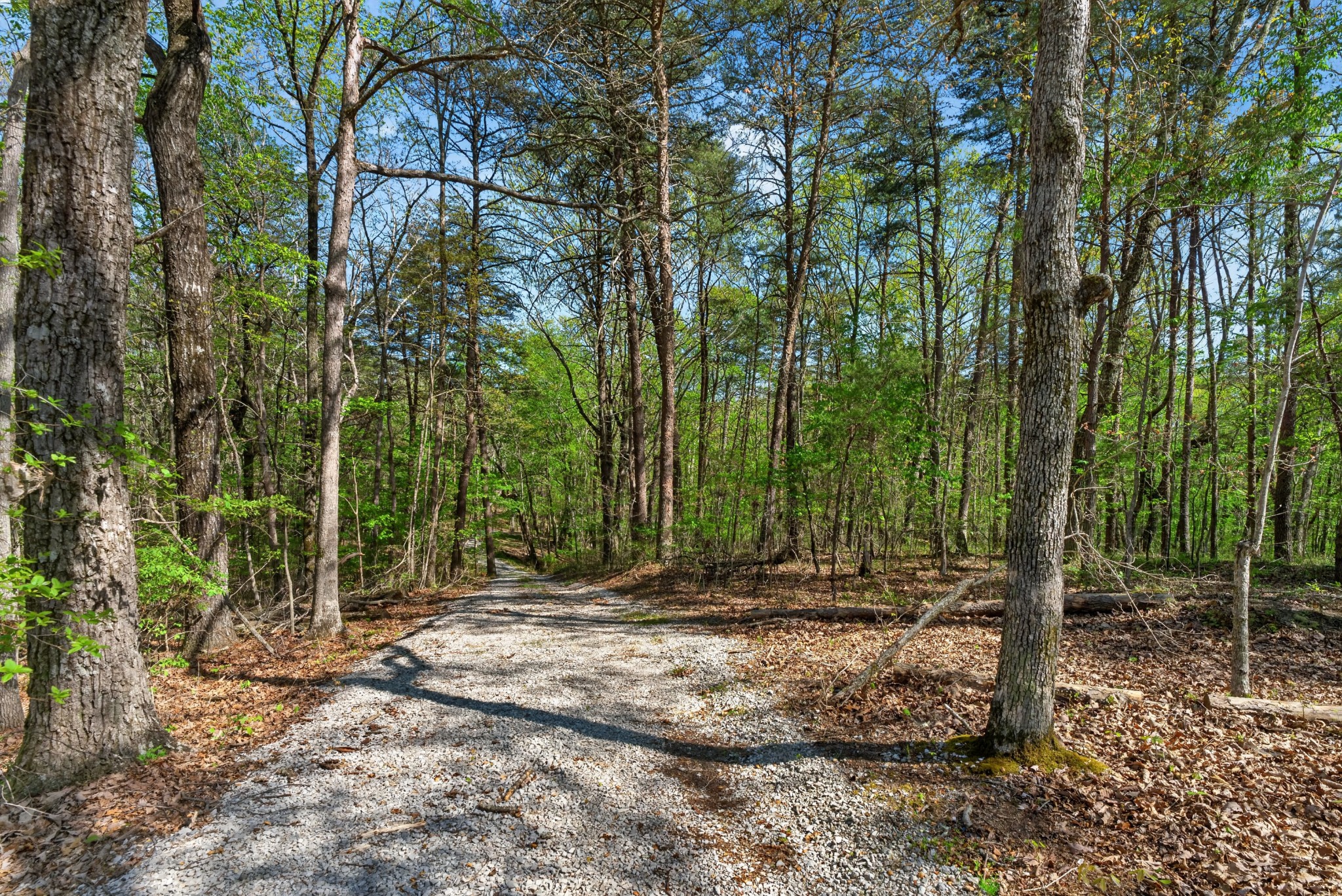 2076 Timberwood Trace Lots 317&318