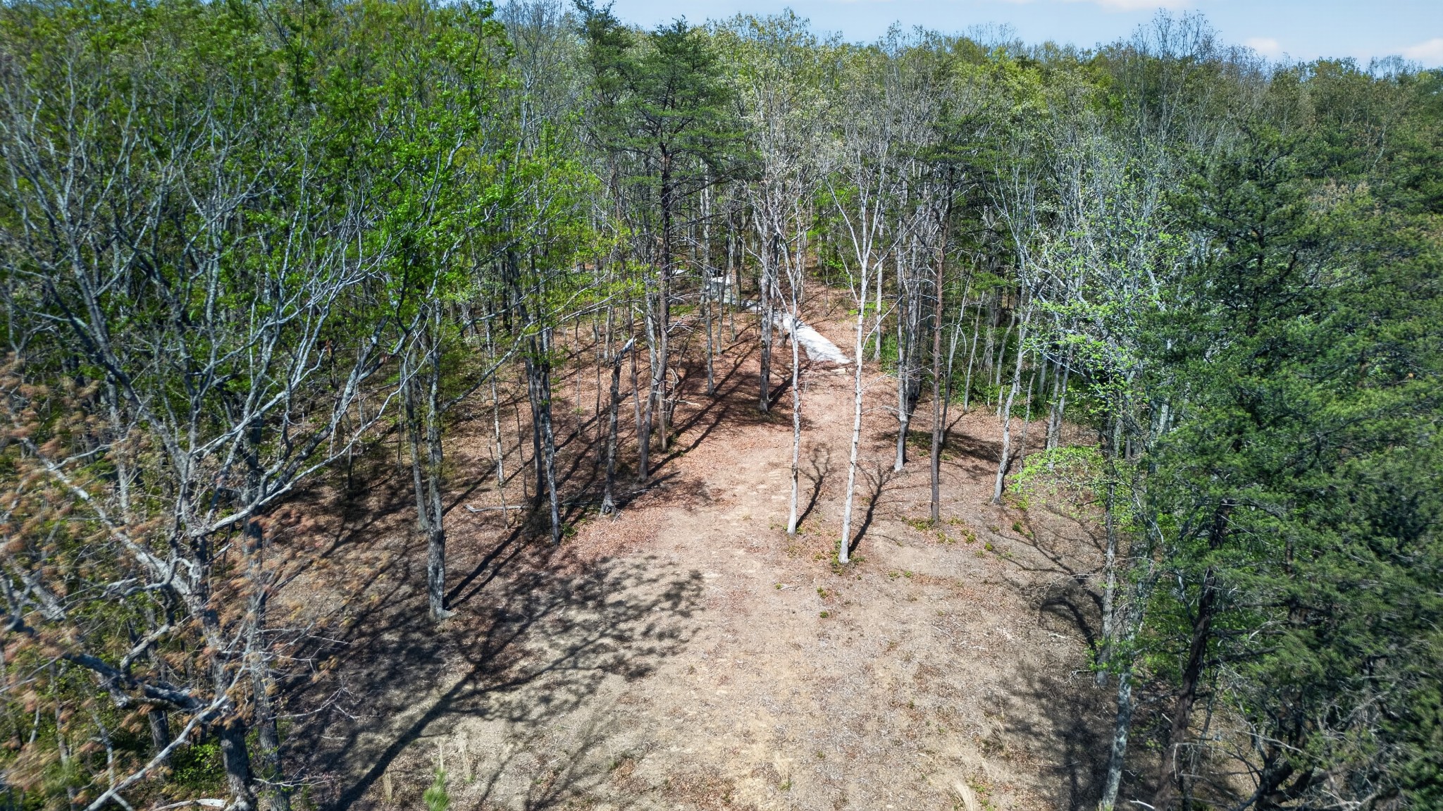 2076 Timberwood Trace Lots 317&318