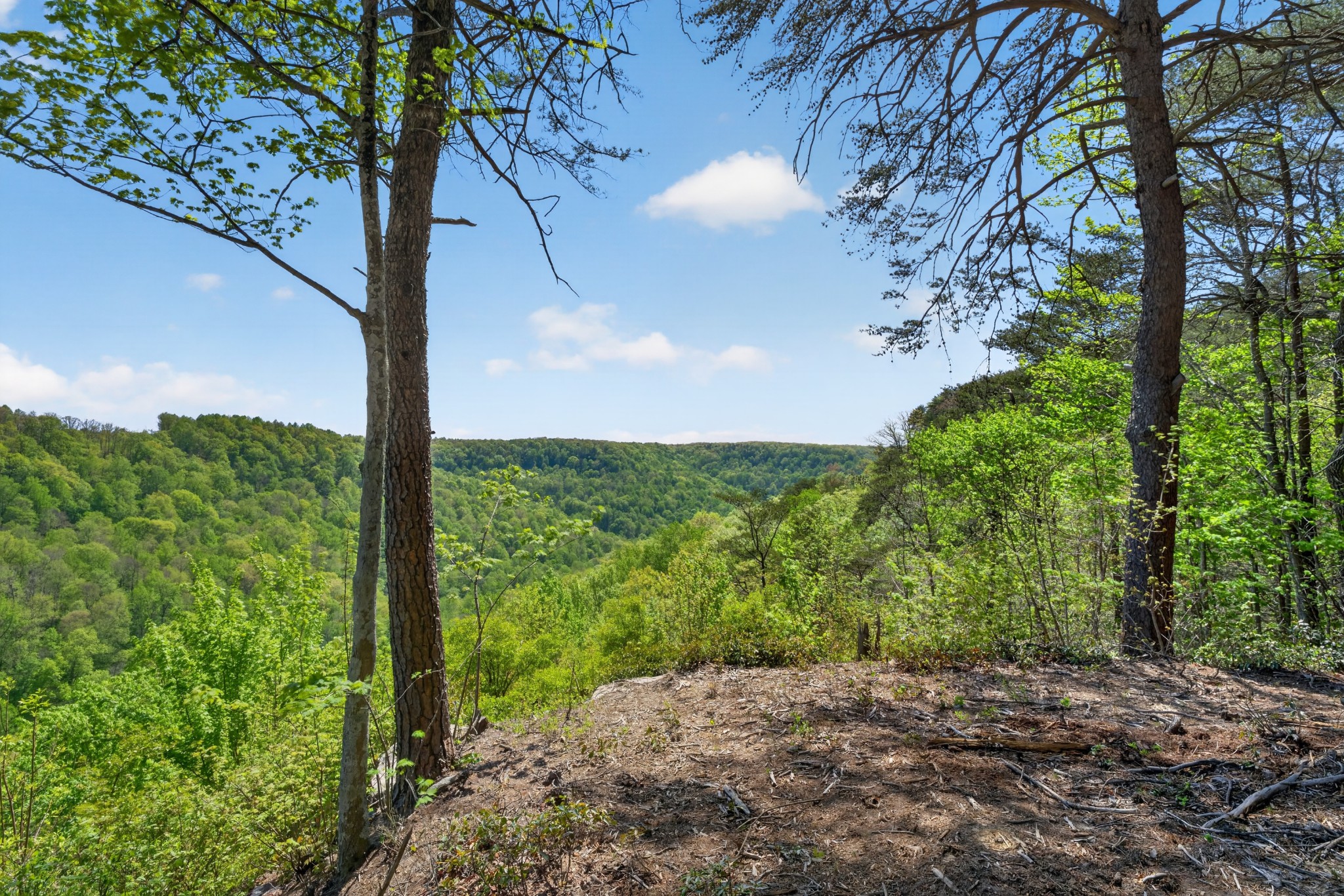 2076 Timberwood Trace Lots 317&318