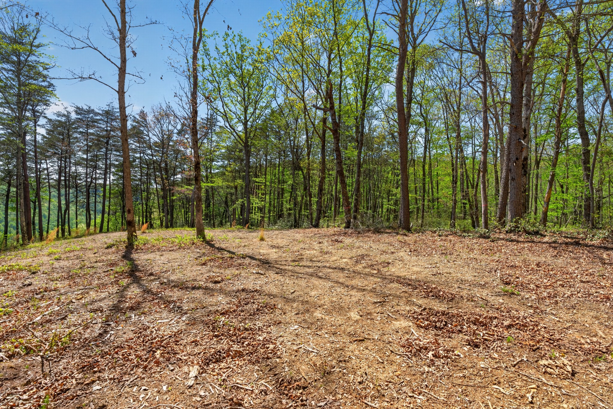 2076 Timberwood Trace Lots 317&318