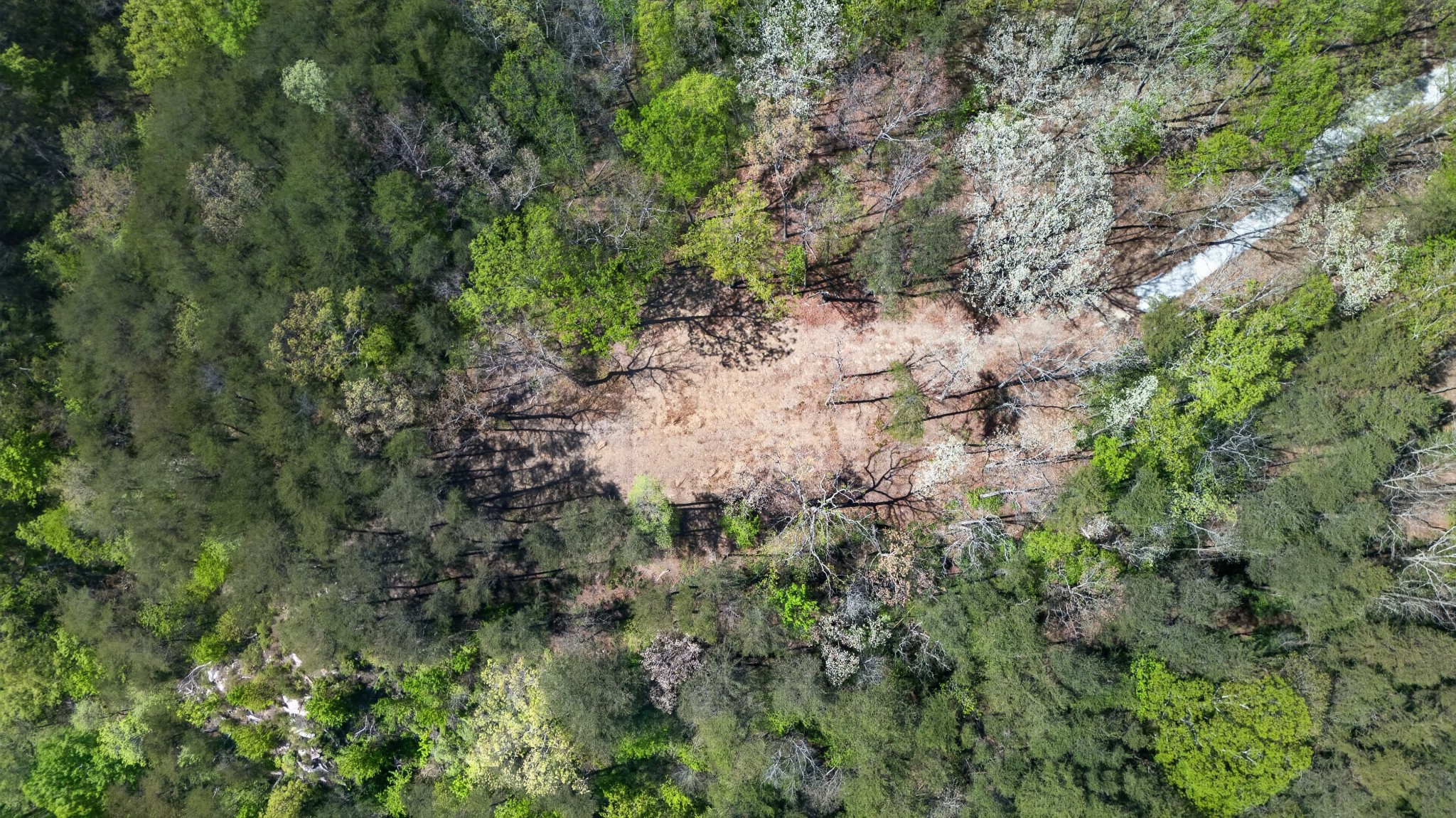 2076 Timberwood Trace Lots 317&318