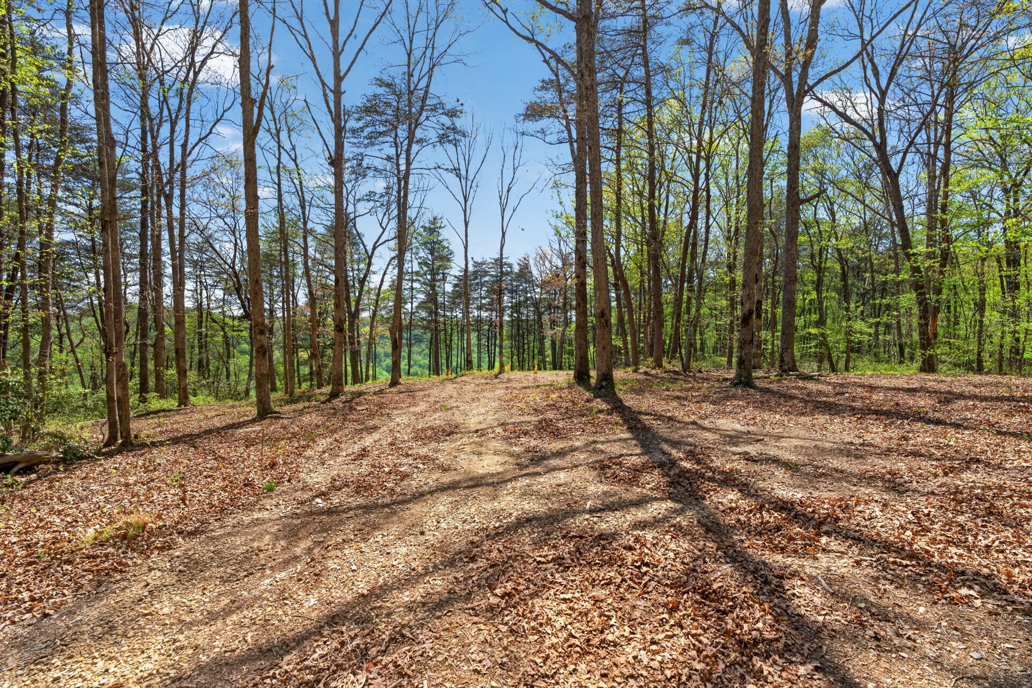 2076 Timberwood Trace Lots 317&318