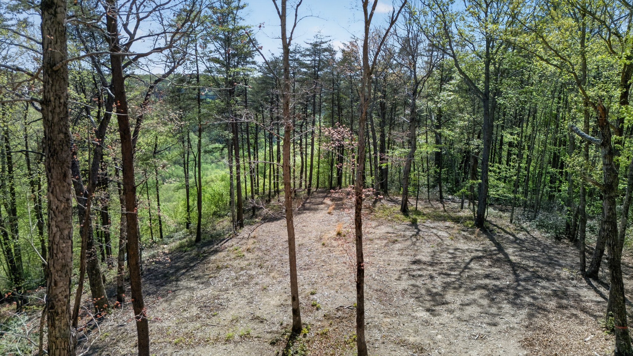 2076 Timberwood Trace Lots 317&318