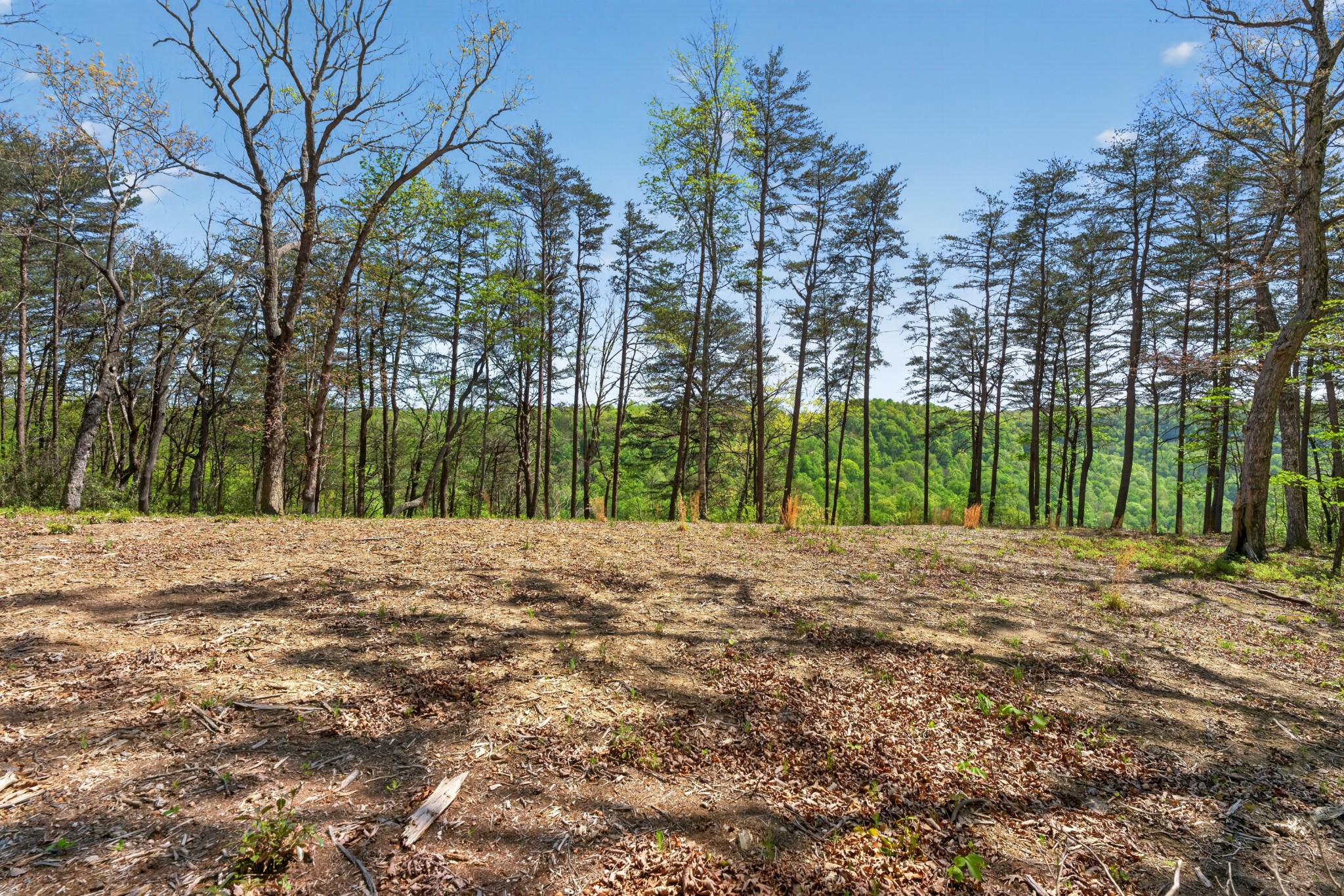 2076 Timberwood Trace Lots 317&318