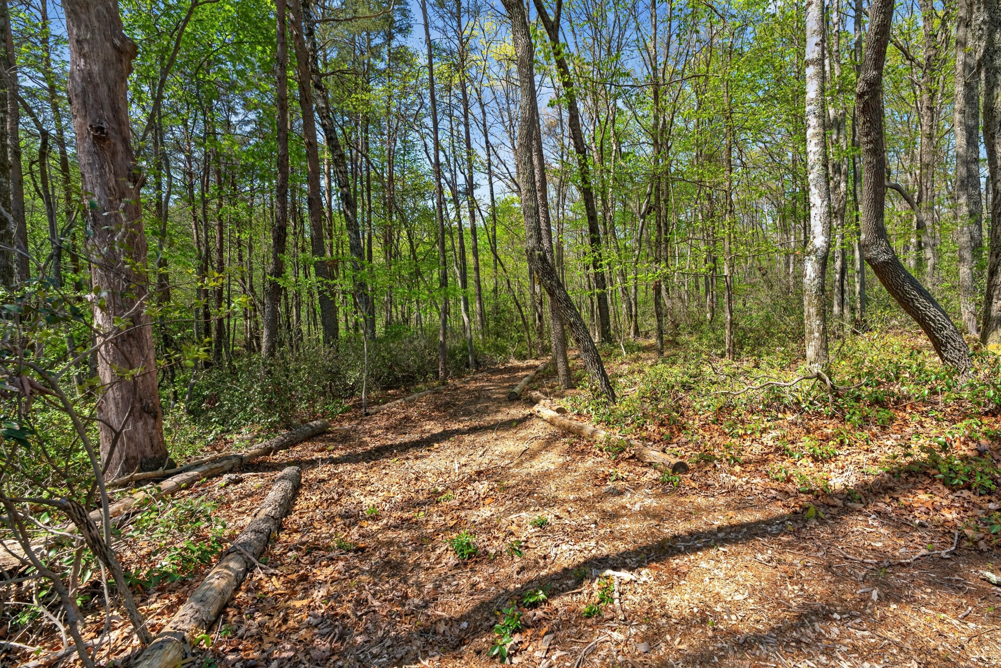 2076 Timberwood Trace Lots 317&318
