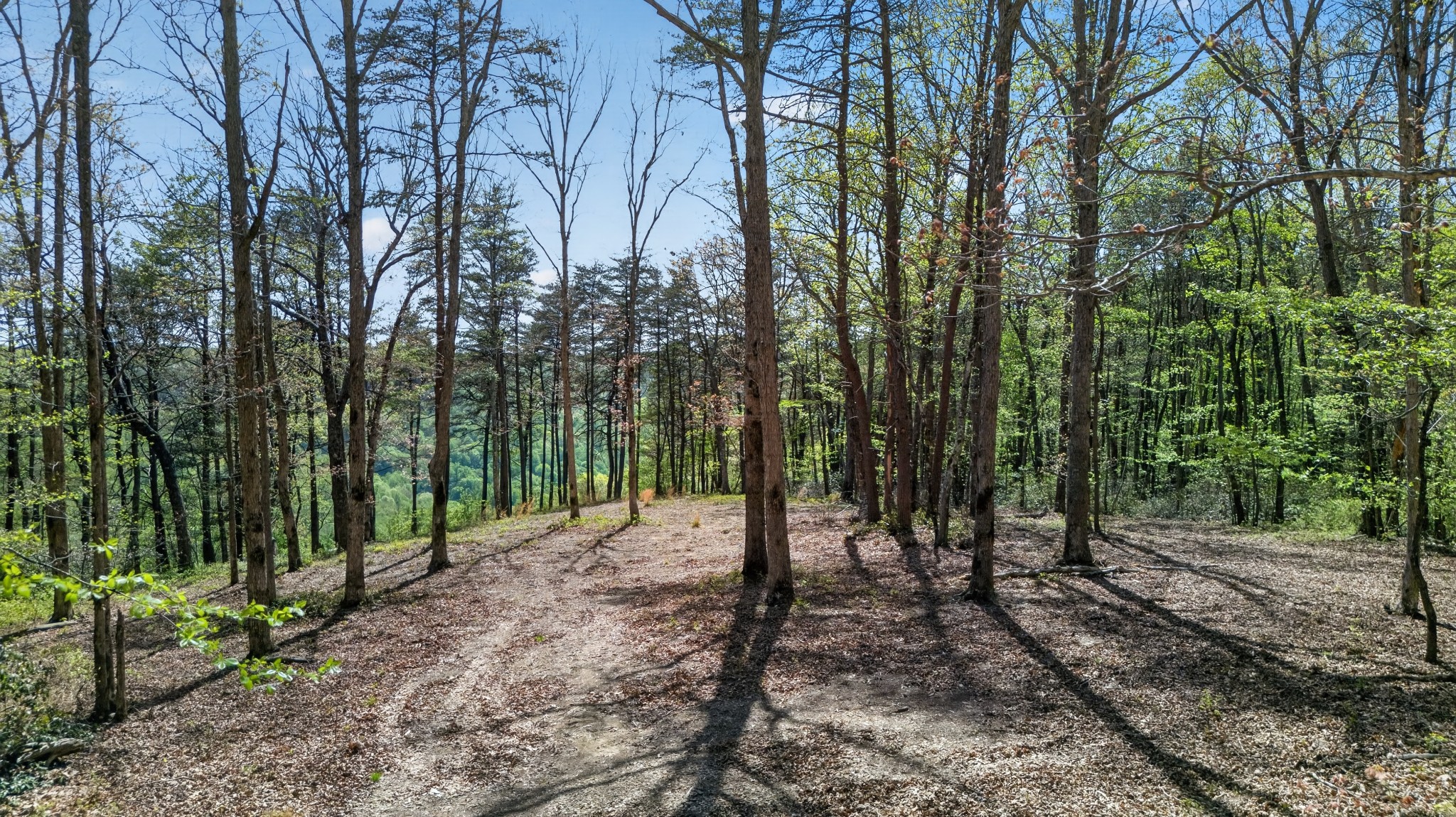 2076 Timberwood Trace Lots 317&318