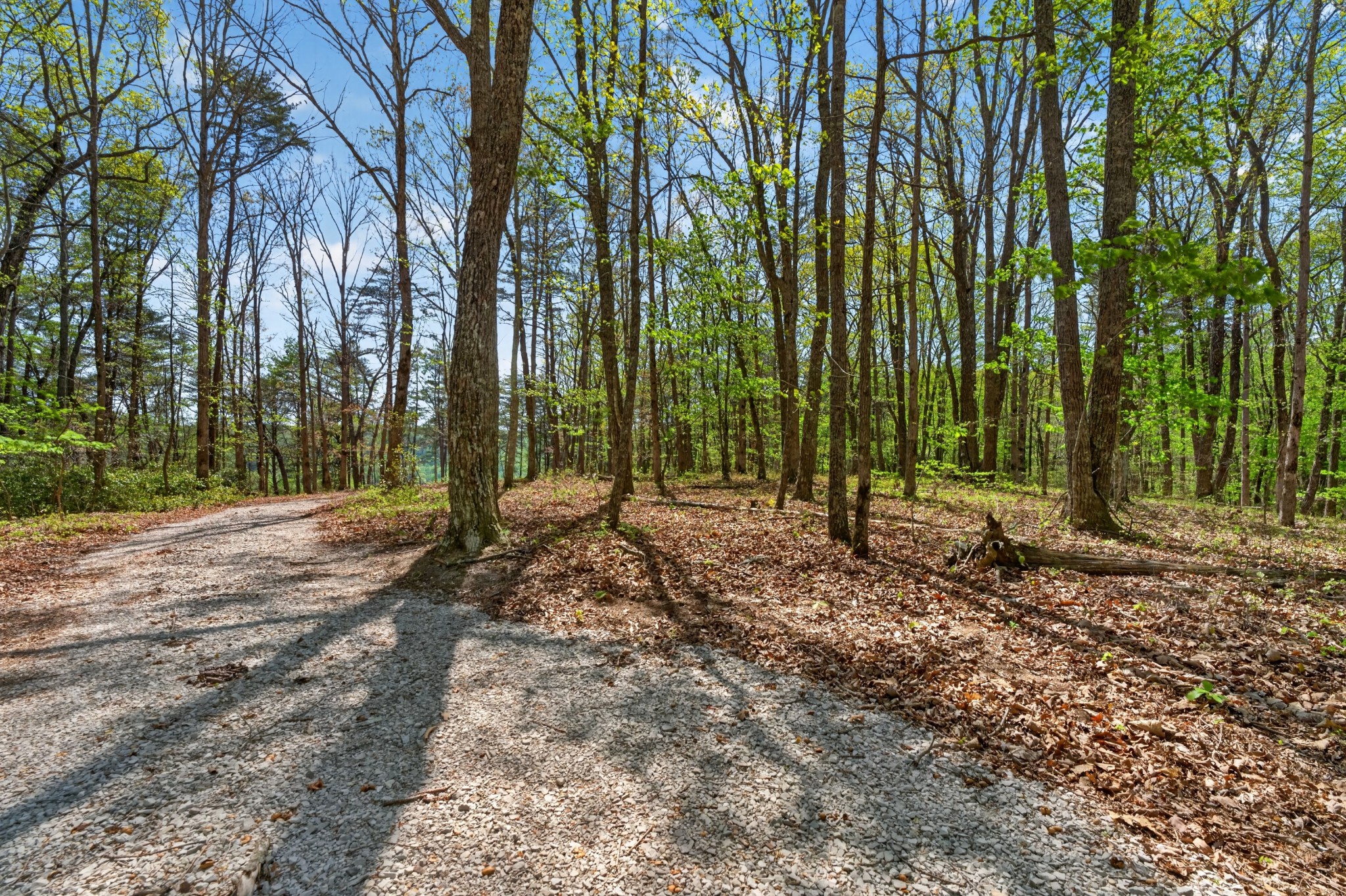 2076 Timberwood Trace Lots 317&318
