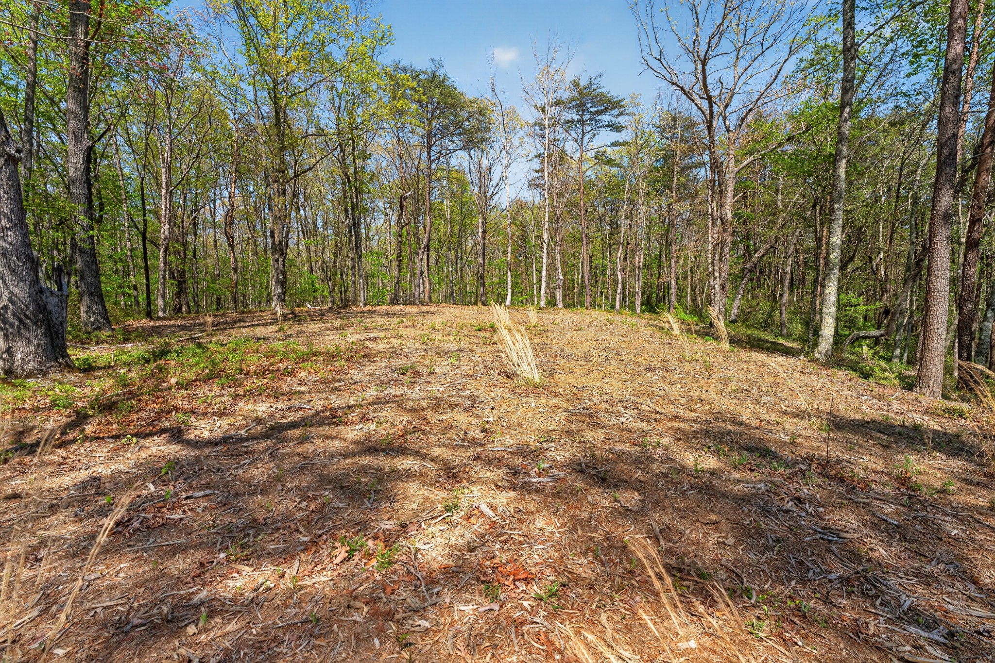 2076 Timberwood Trace Lots 317&318