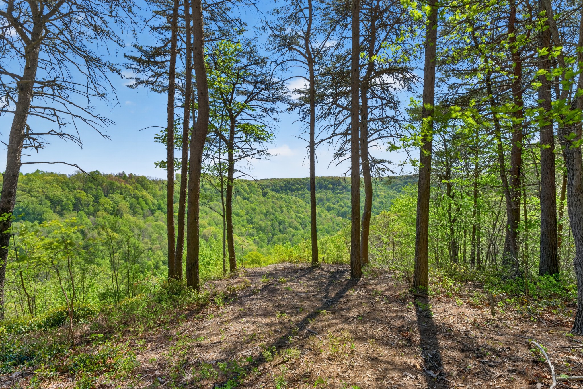 2076 Timberwood Trace Lots 317&318