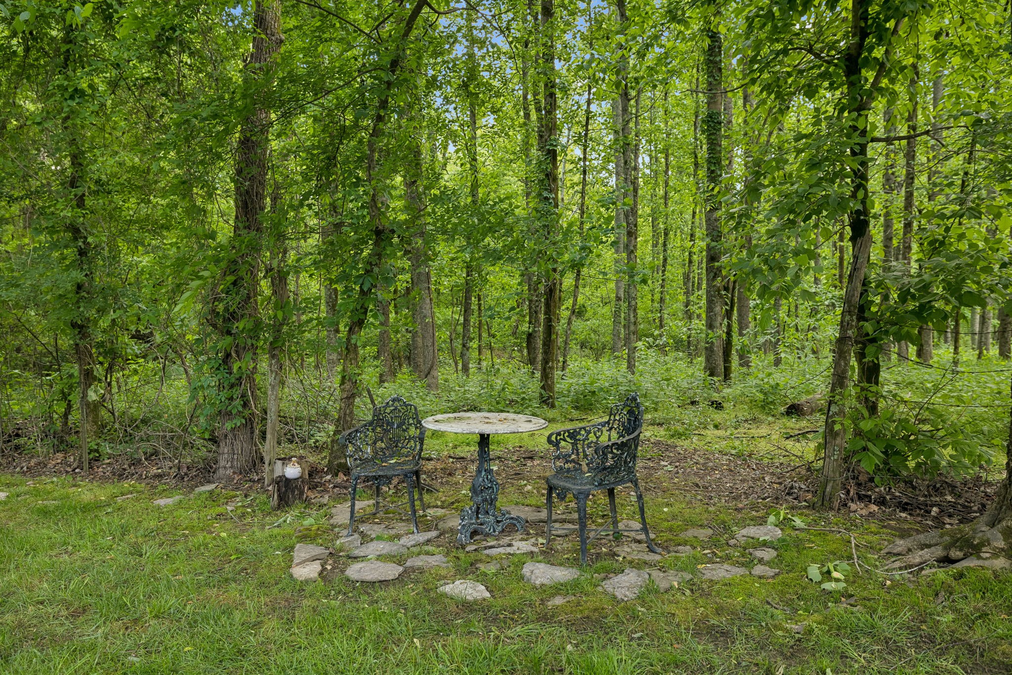 540 Great Angelica Way