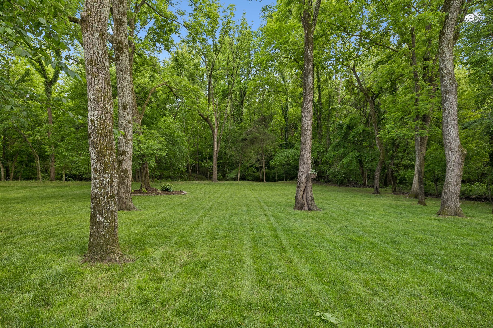 540 Great Angelica Way