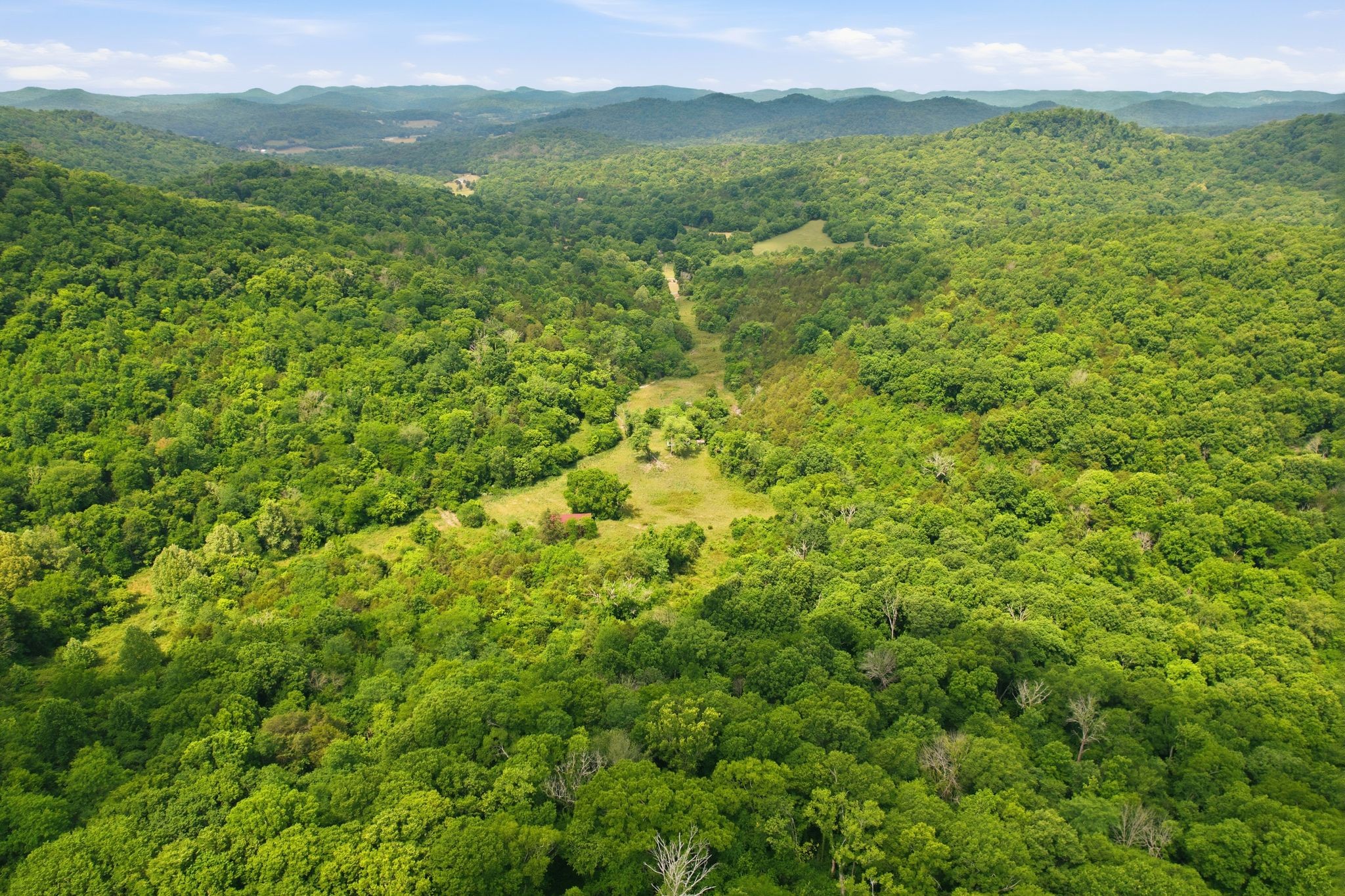 1780 Chumley Hollow Rd