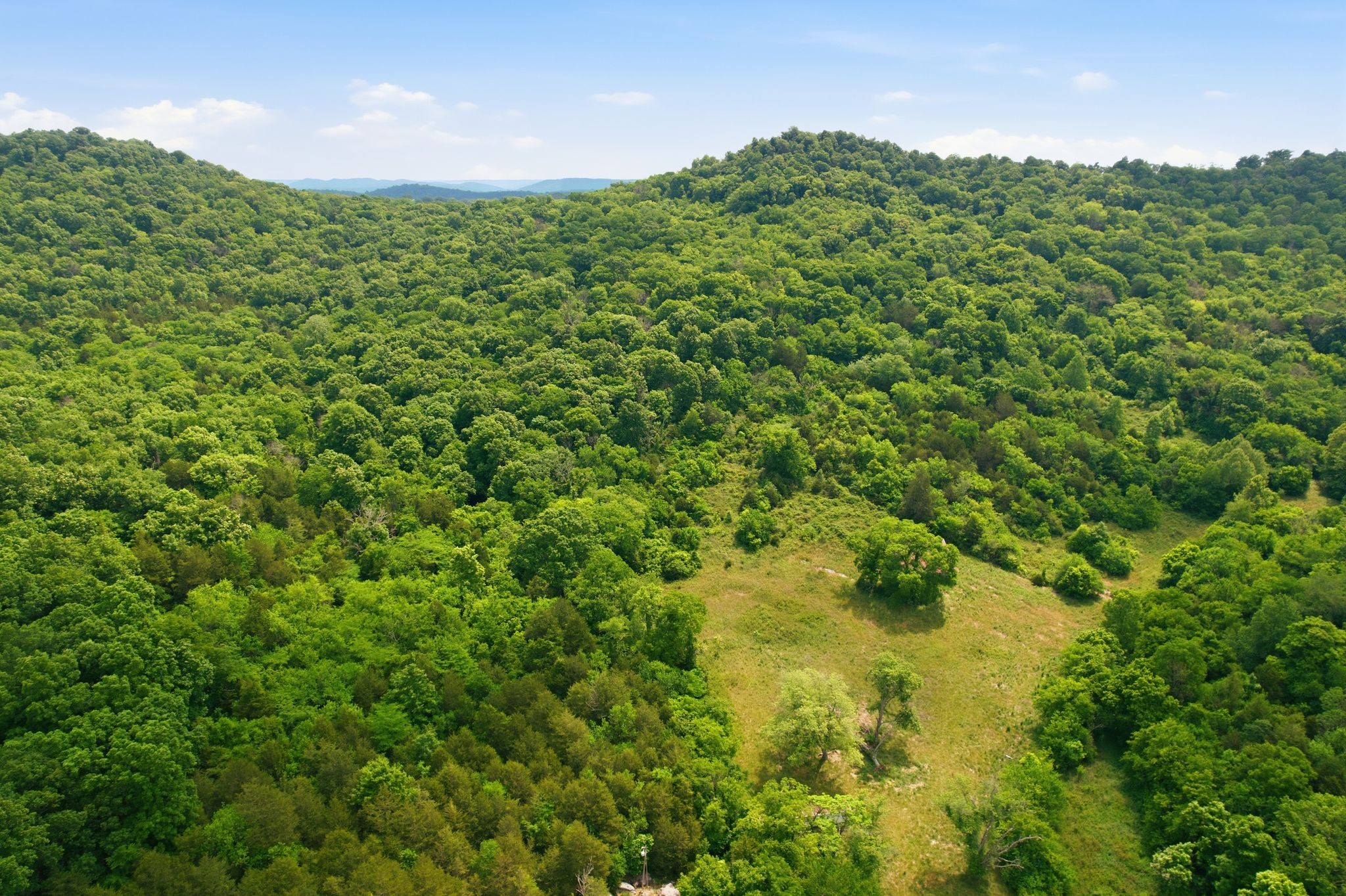 1780 Chumley Hollow Rd
