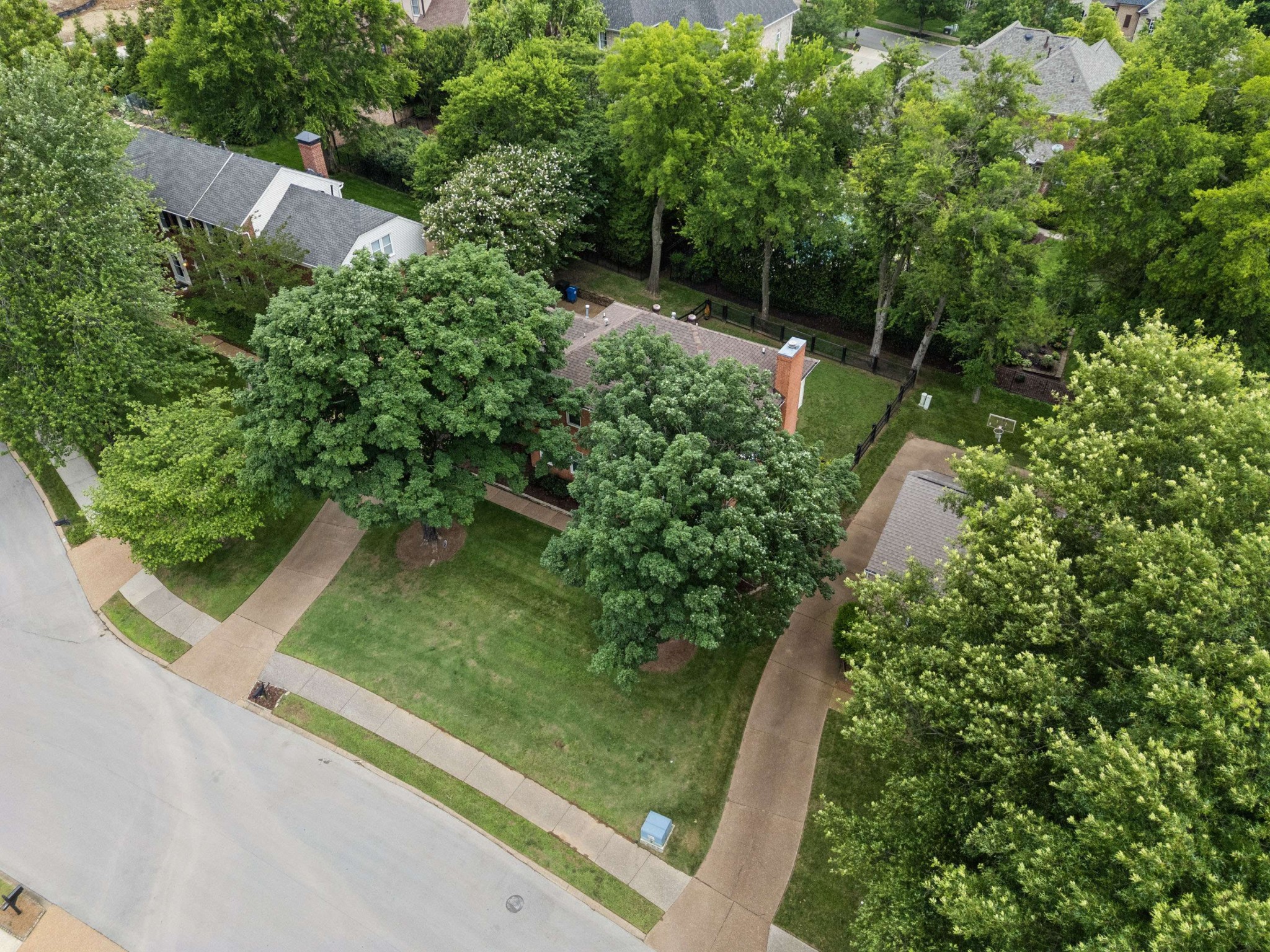 824 Pintail Ct