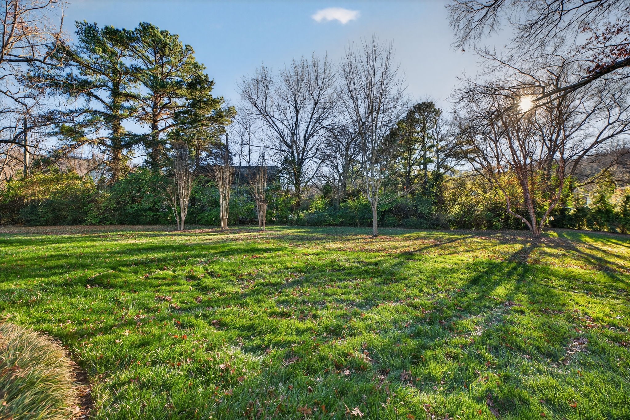 1209 Tyne Blvd
