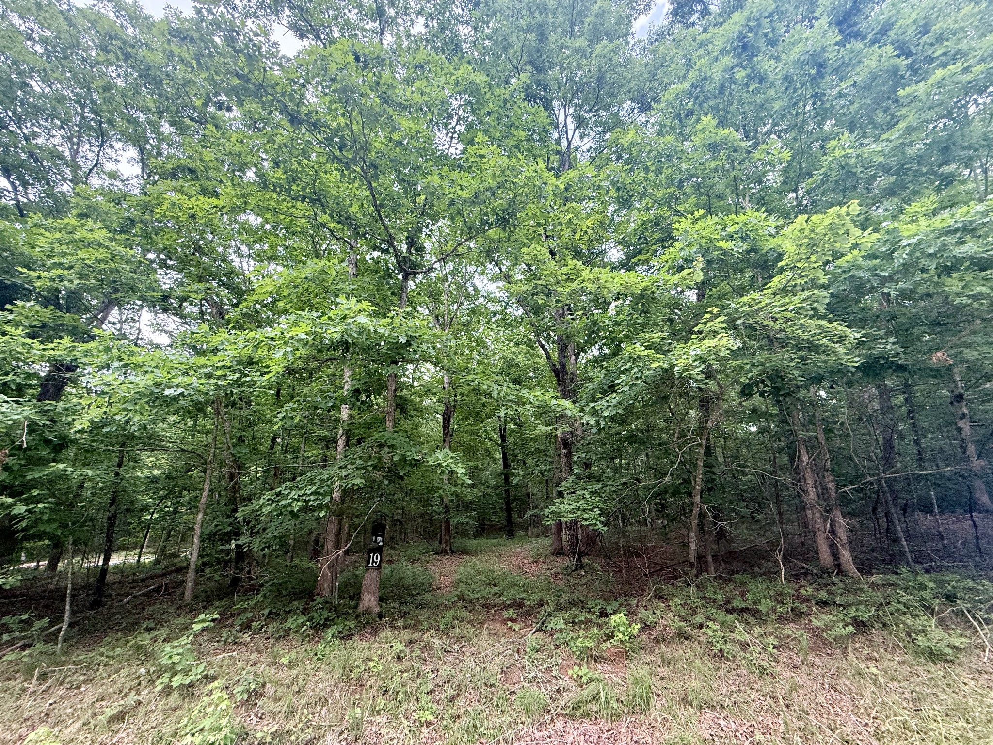 0 Deep Woods Road
