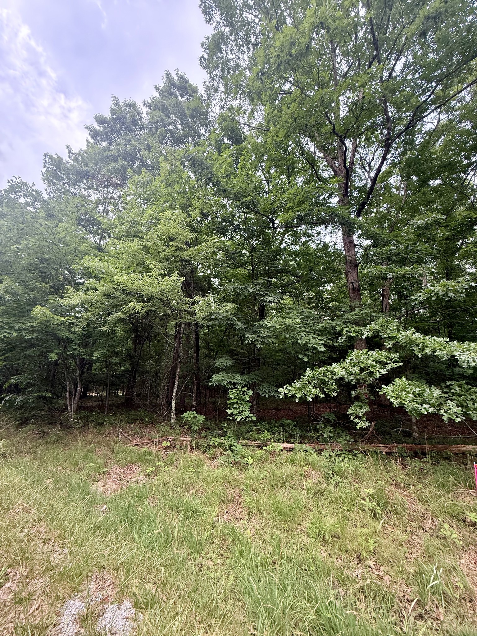 0 Deep Woods Road