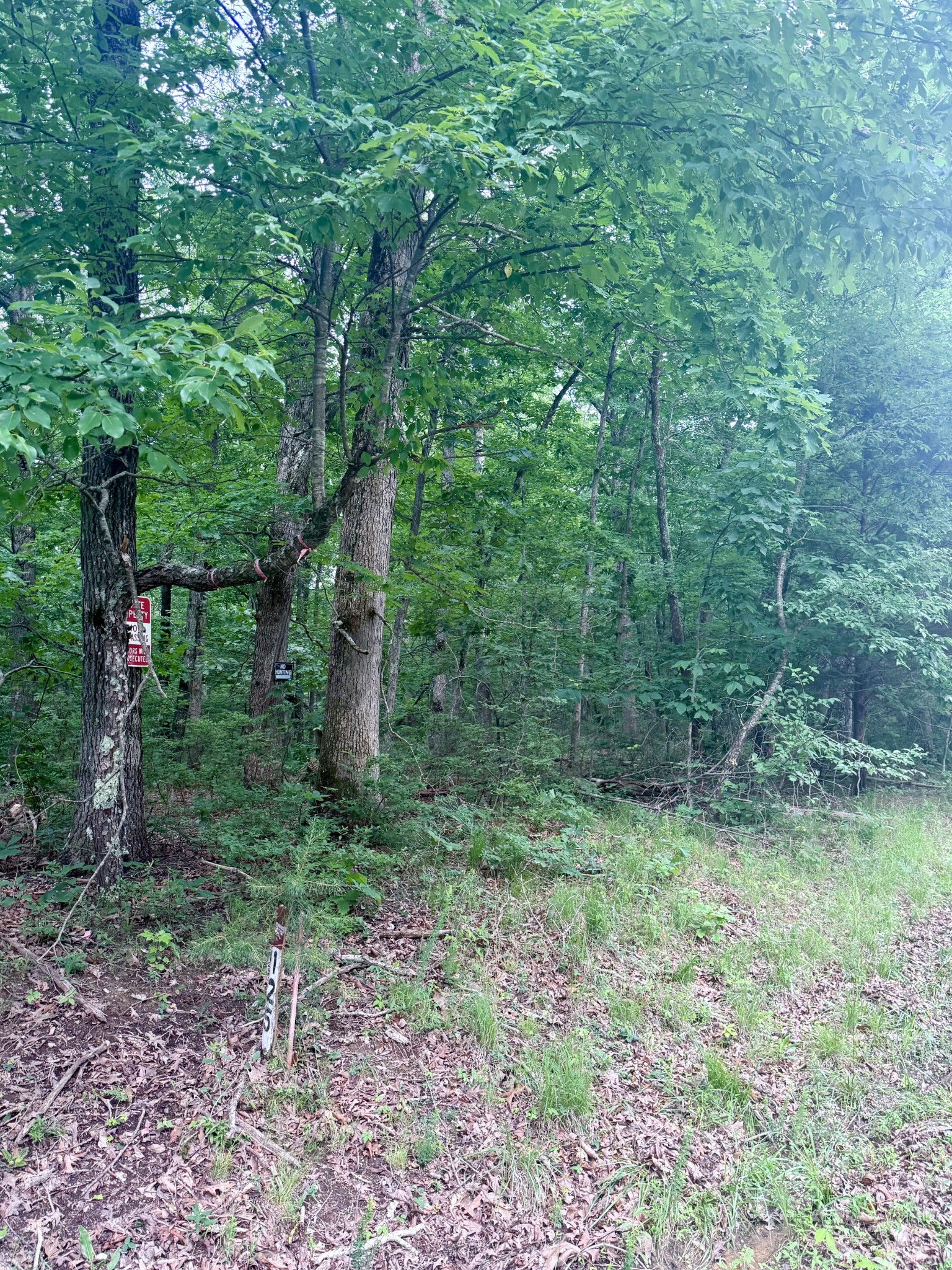 0 Deep Woods Road