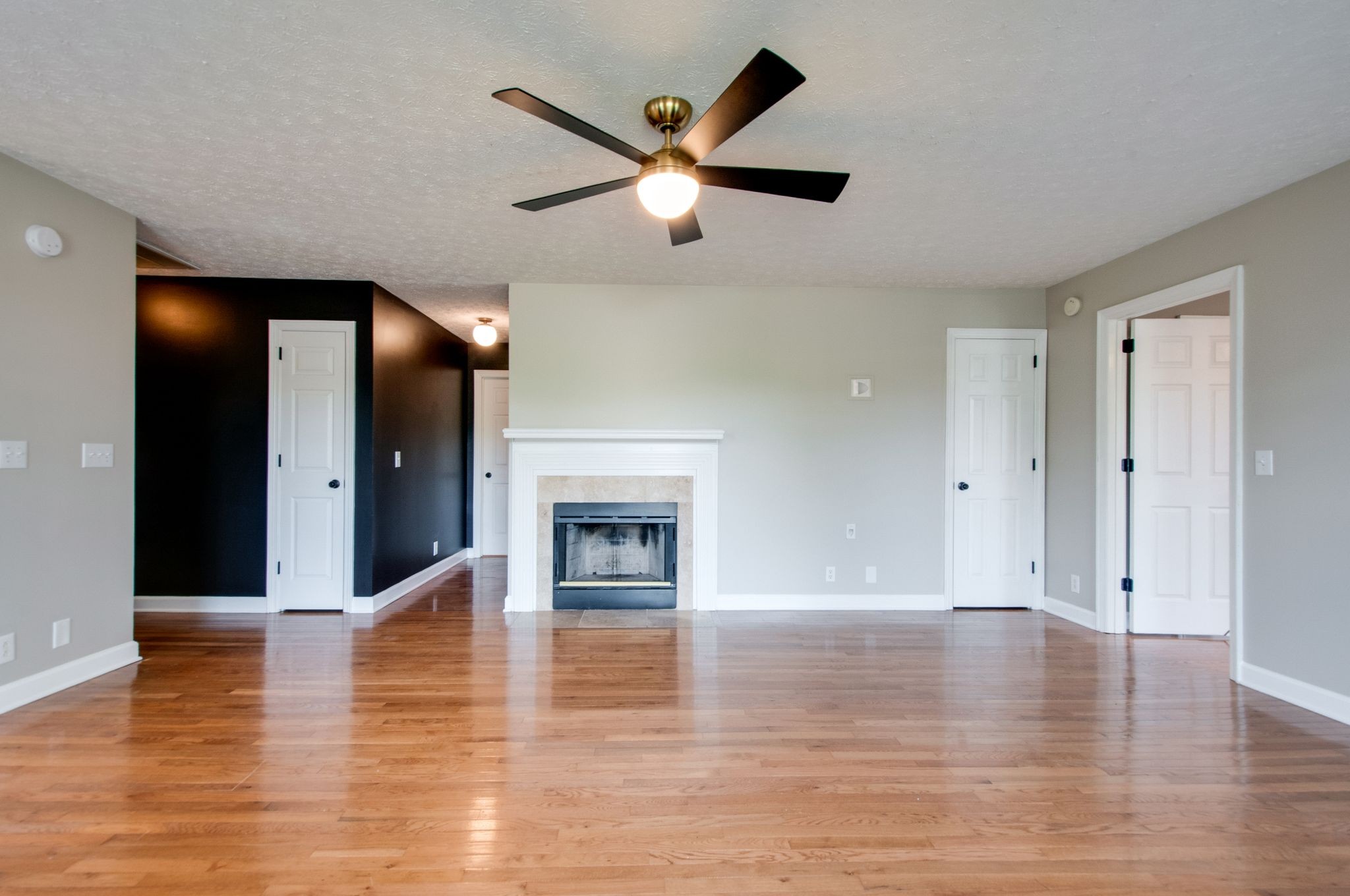 7305 Demetrius Ct