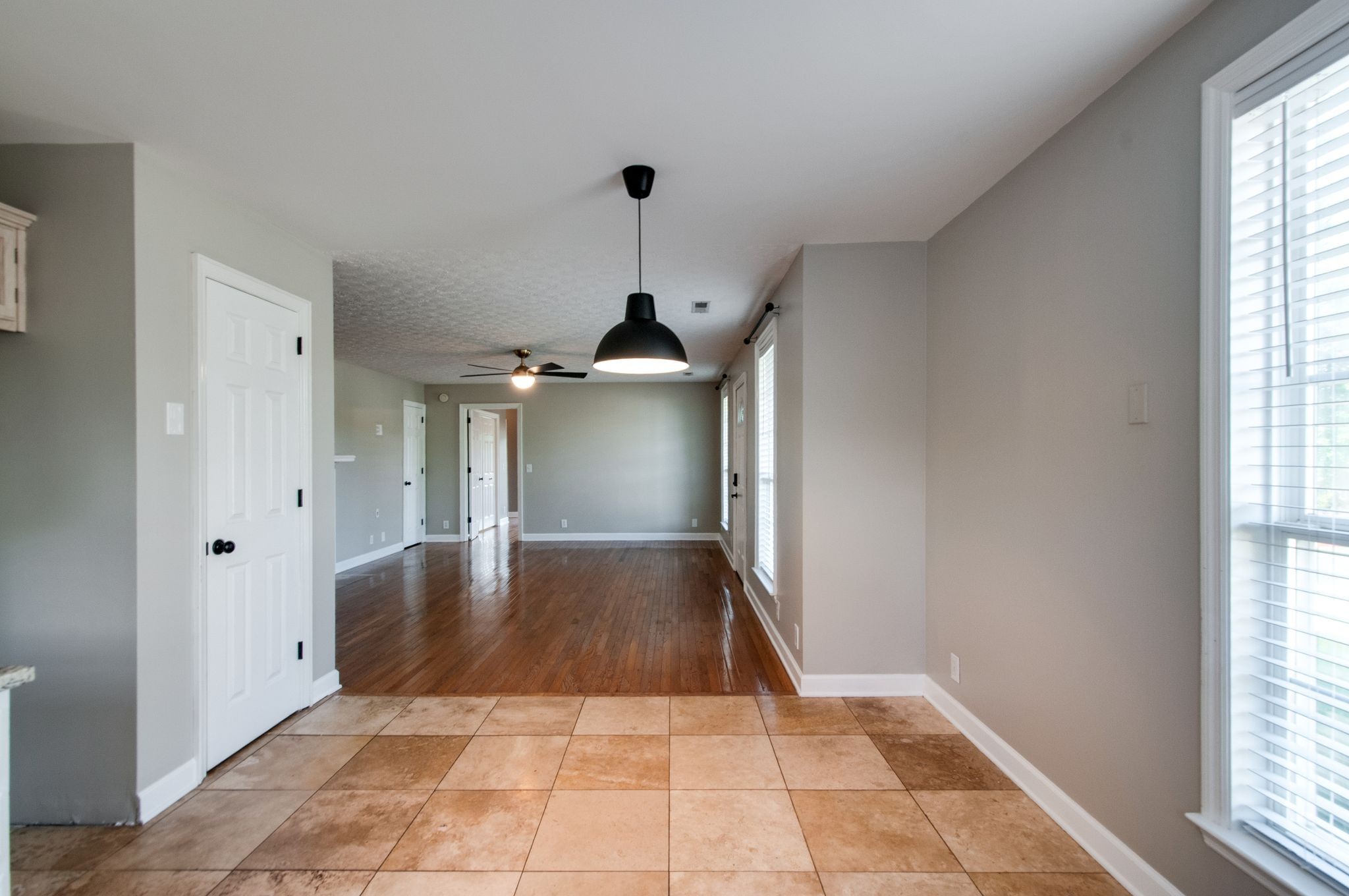 7305 Demetrius Ct