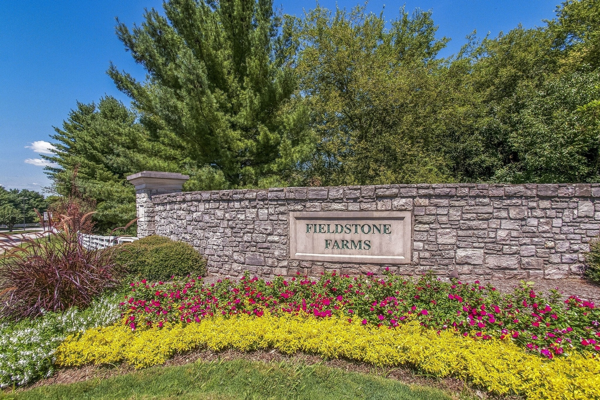 403 Reigh Ct