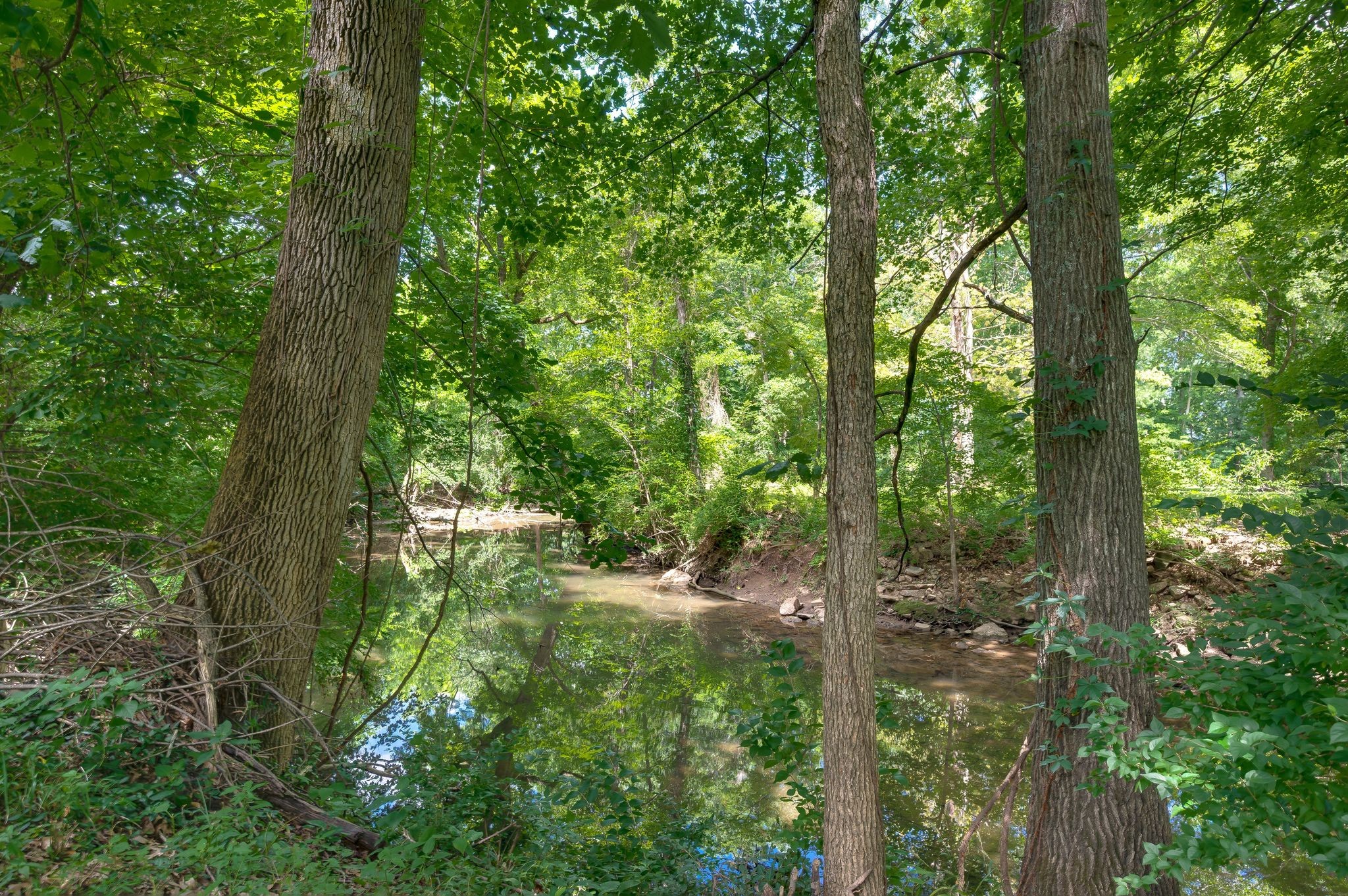 401 Belle Glen Ln