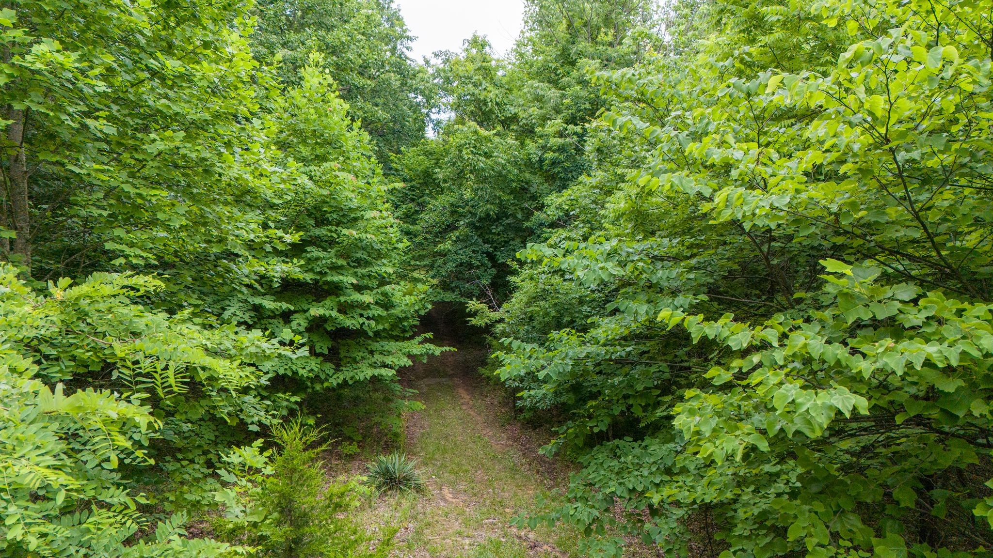 0 Eagle Cliff Road