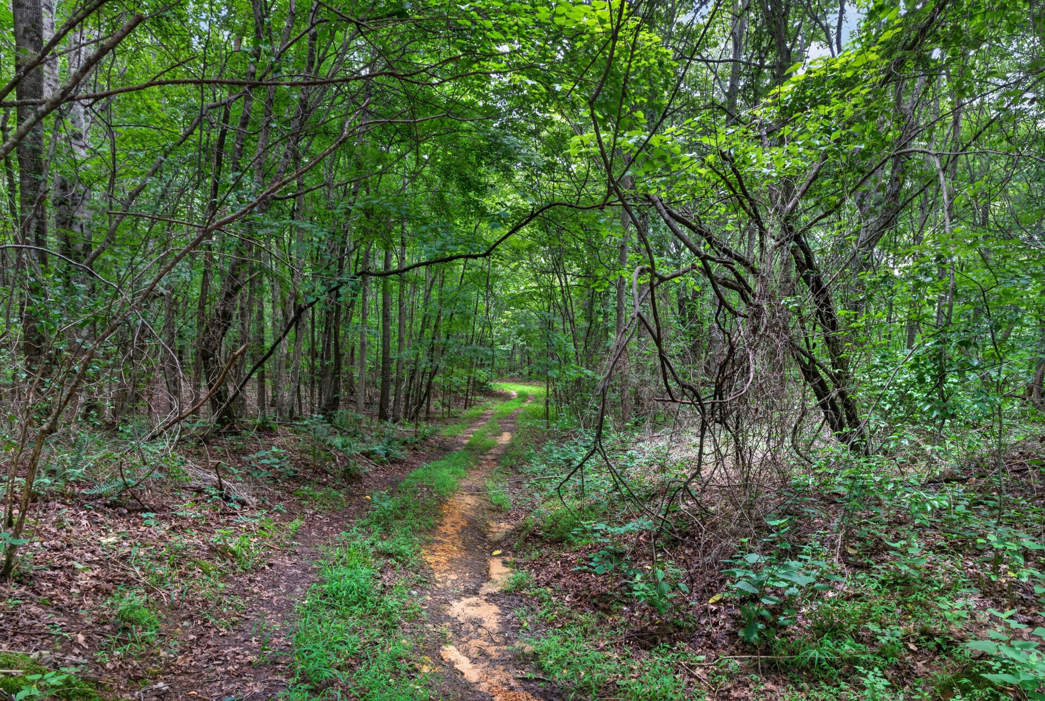 0 Eagle Cliff Road
