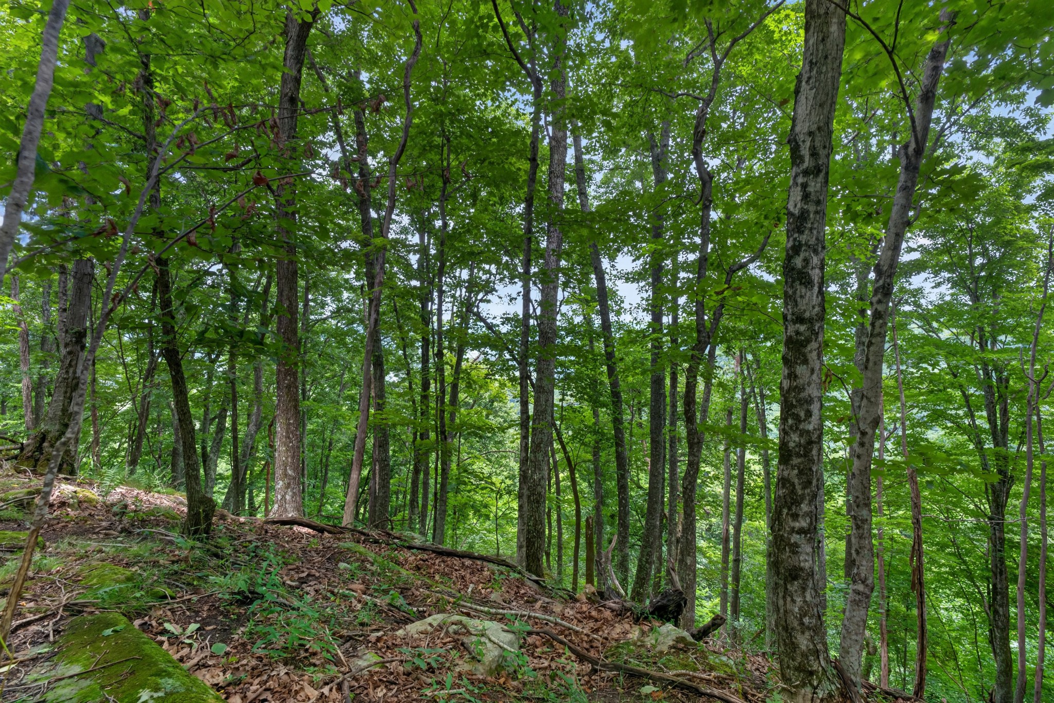 0 Eagle Cliff Road