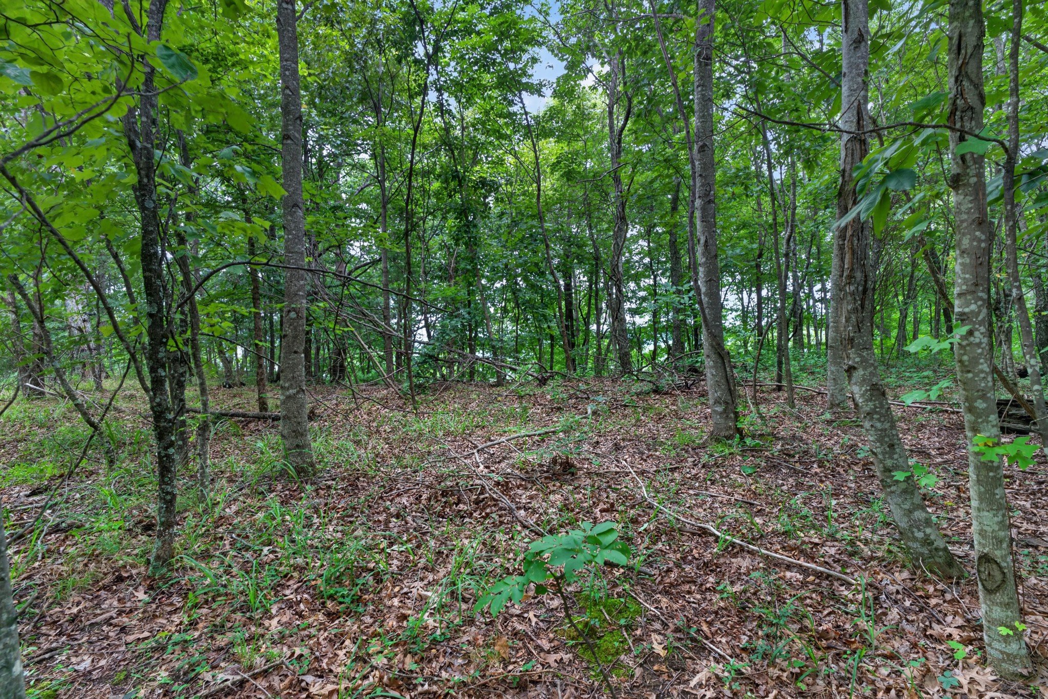 0 Eagle Cliff Rd