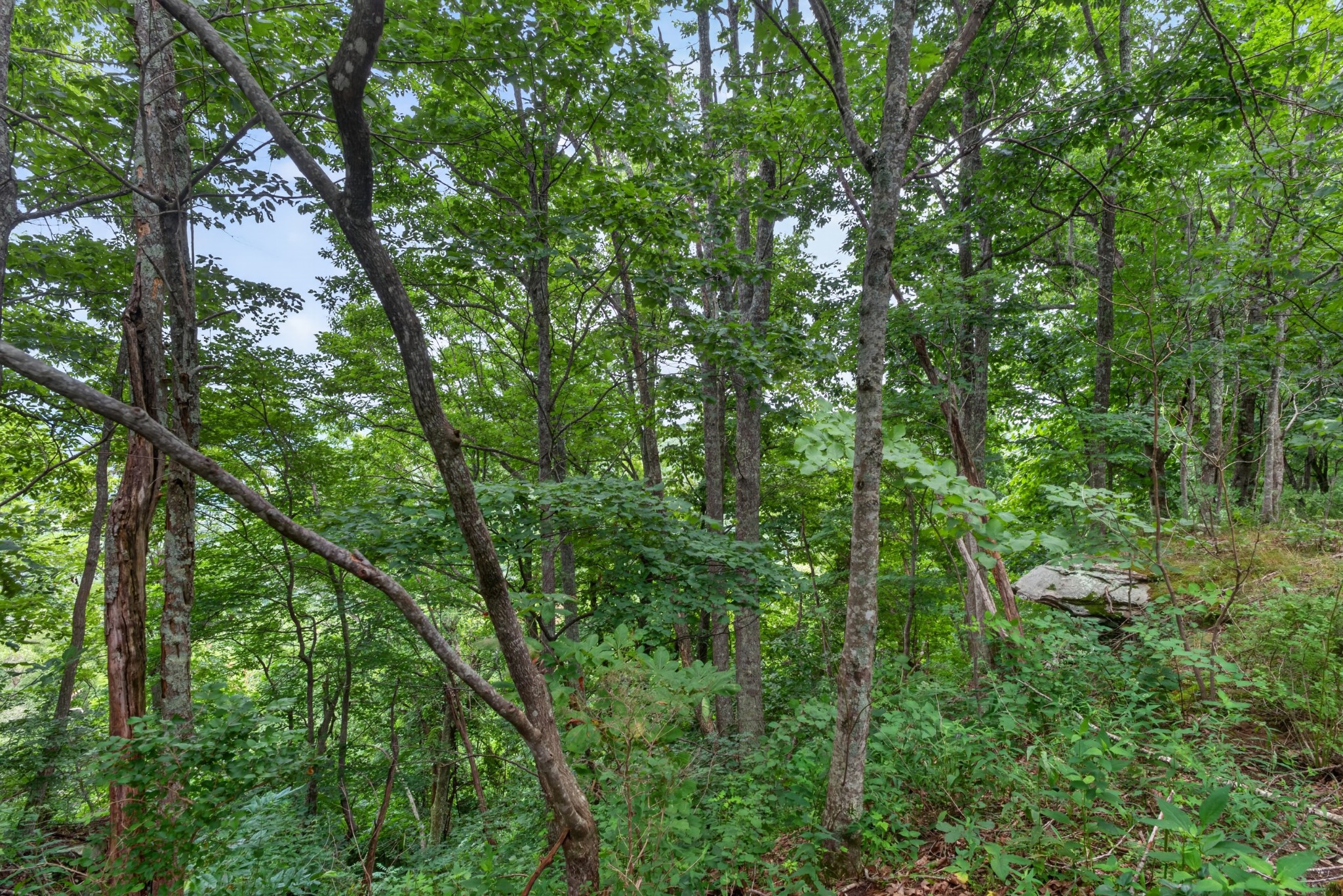 0 Eagle Cliff Rd