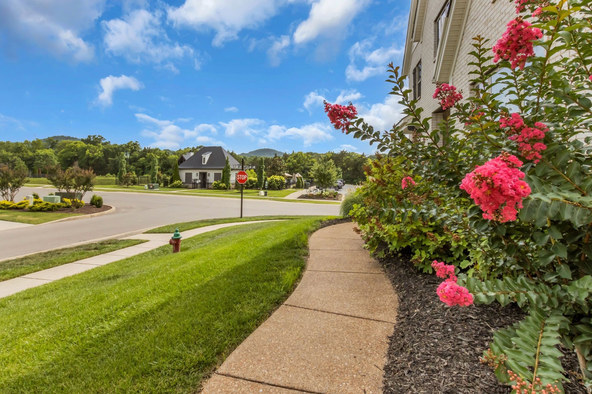 163 Telfair Ln