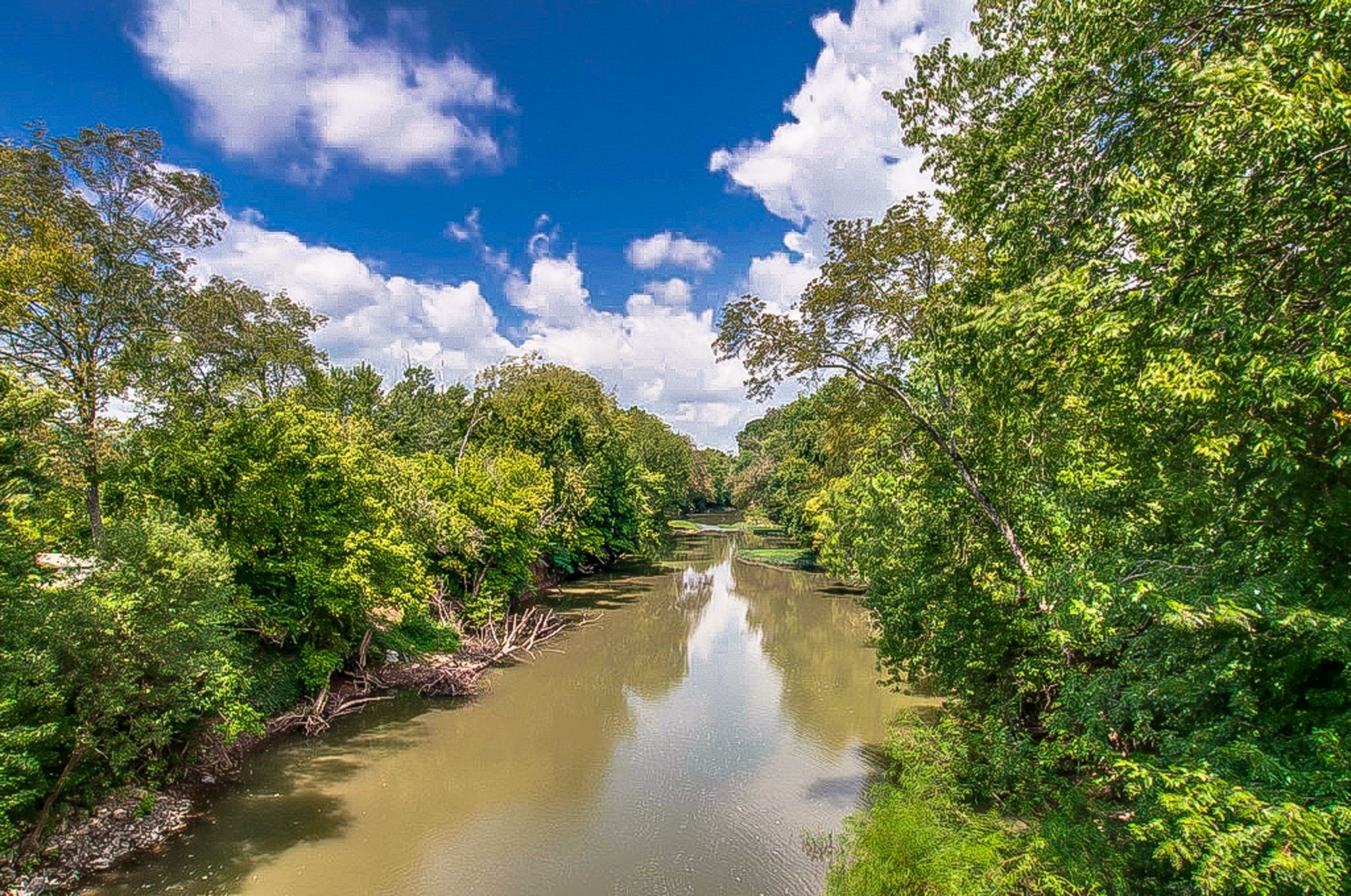 512 Belle Pointe Ct Unit: 512