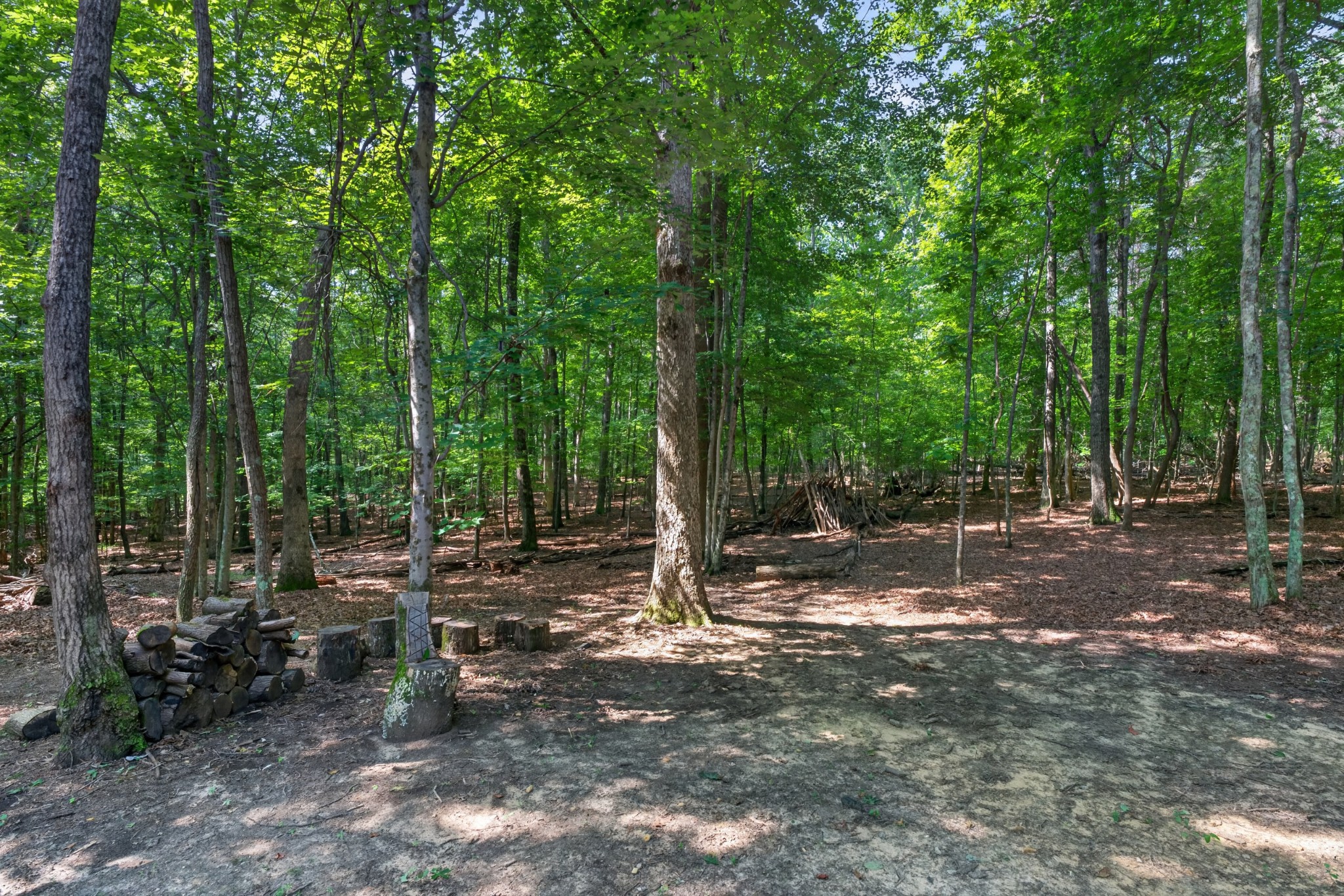2403 Sarvisberry Dr