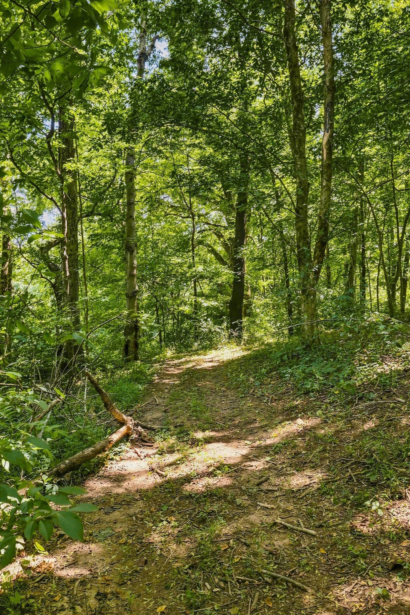 212 Kippsford Pond Rd