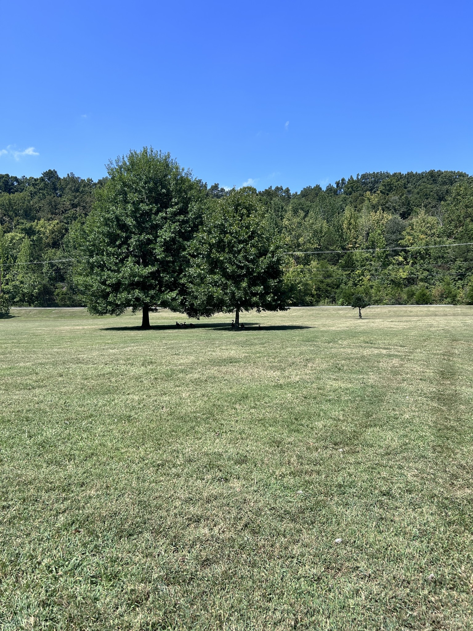 214 Old Hickory Blvd Unit: 137