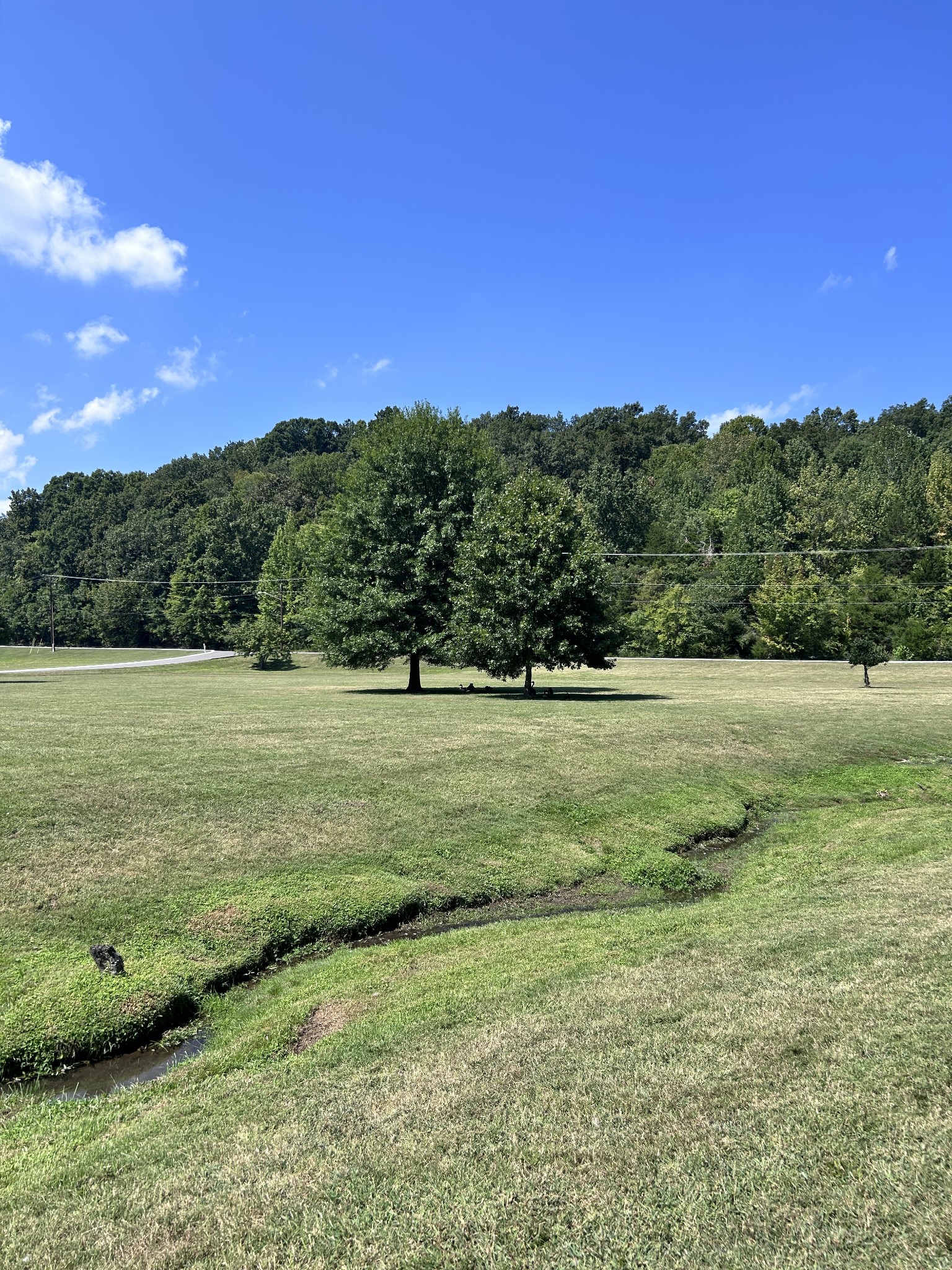 214 Old Hickory Blvd Unit: 137