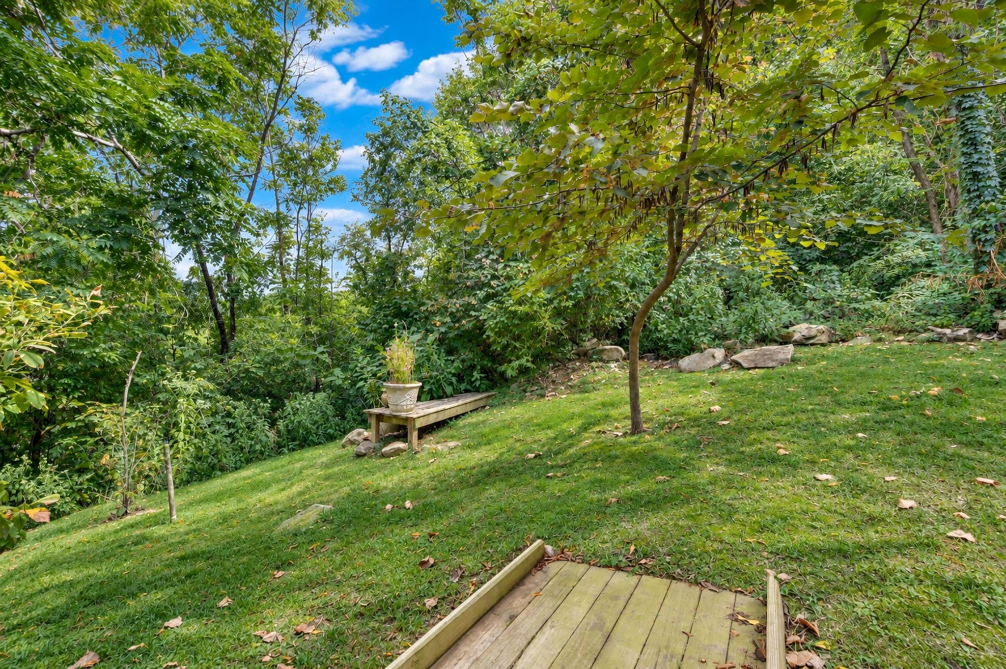 782 Saussy Pl