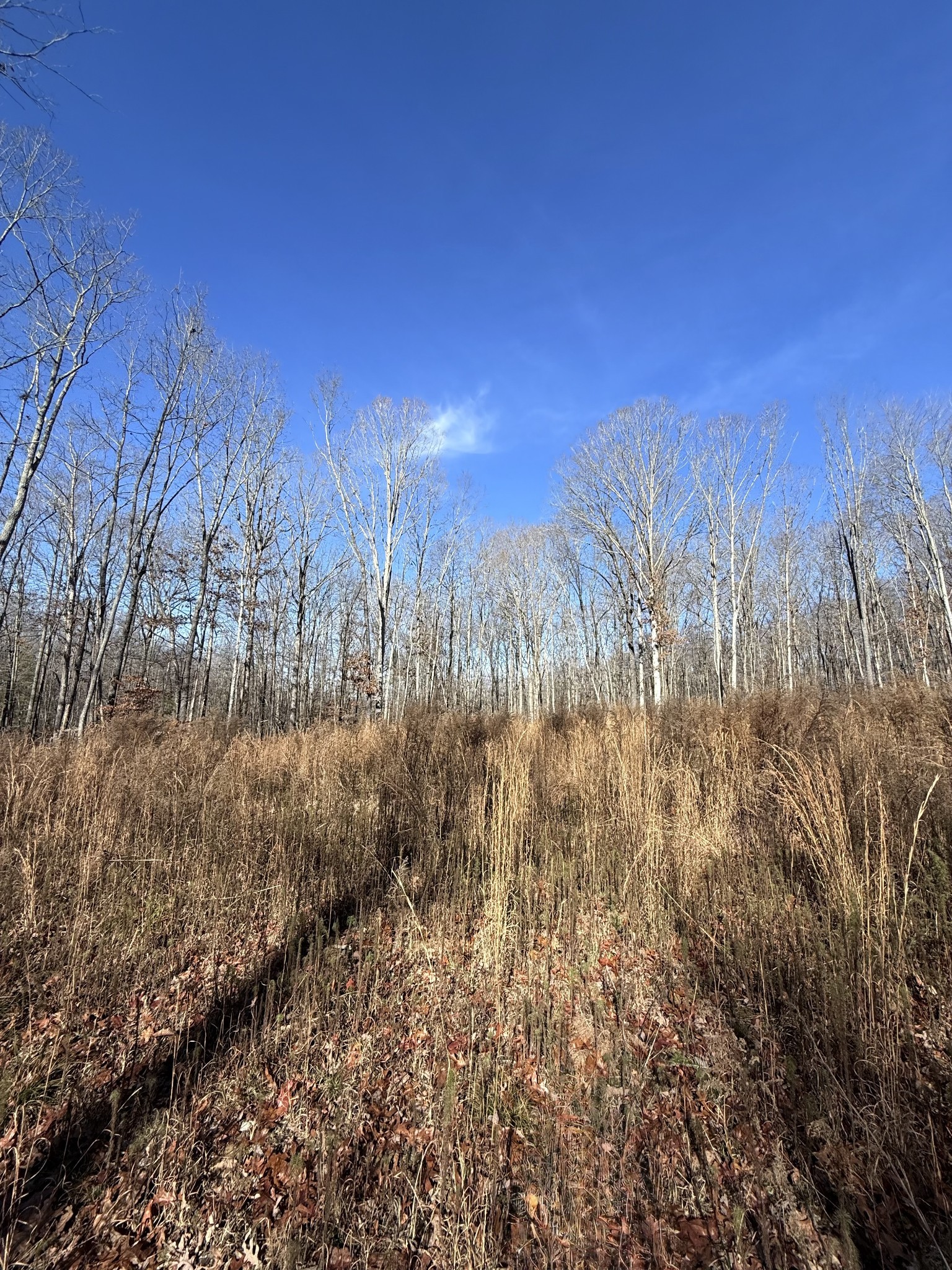 0 Deer Wood Dr
