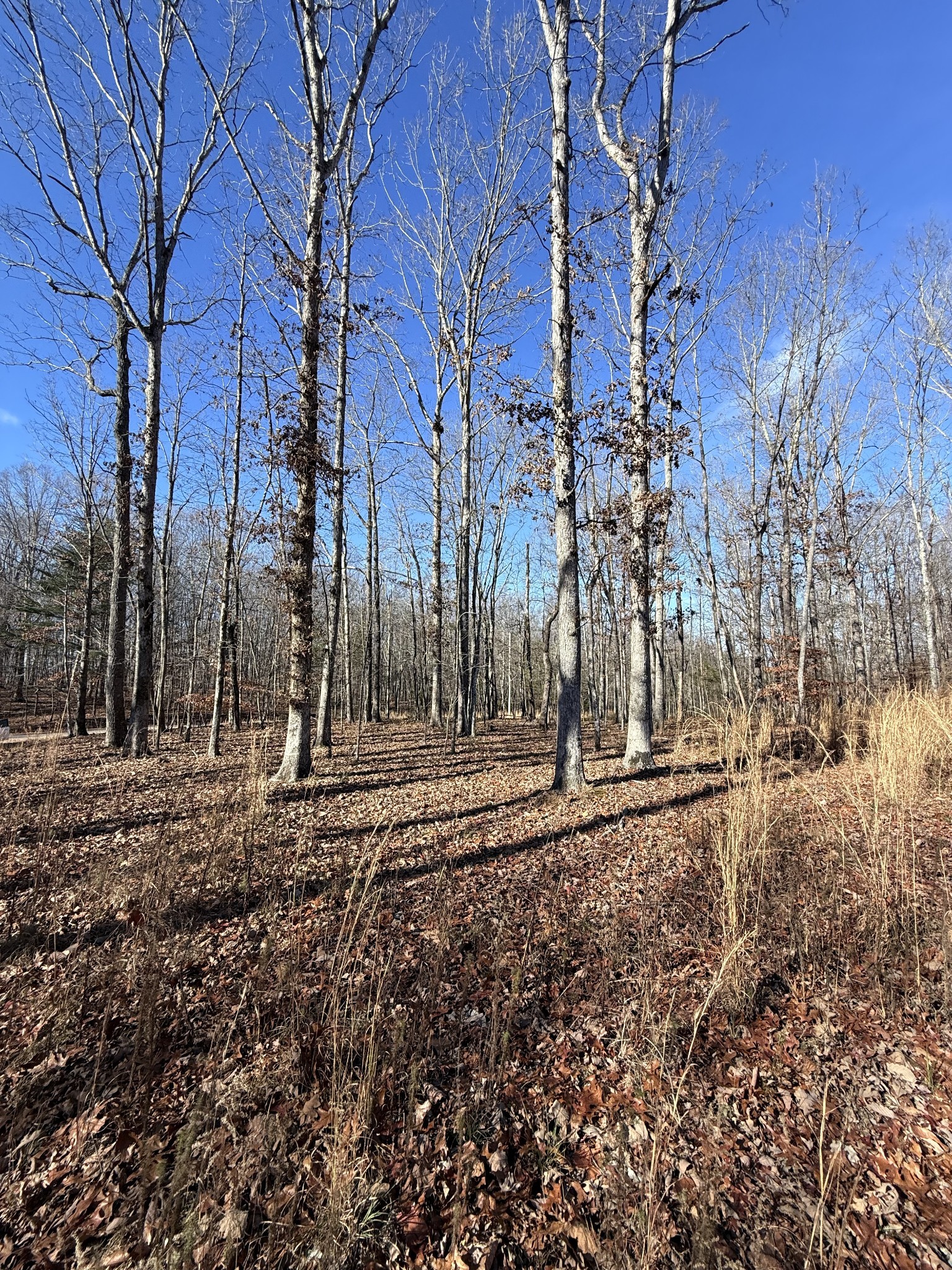0 Deer Wood Dr