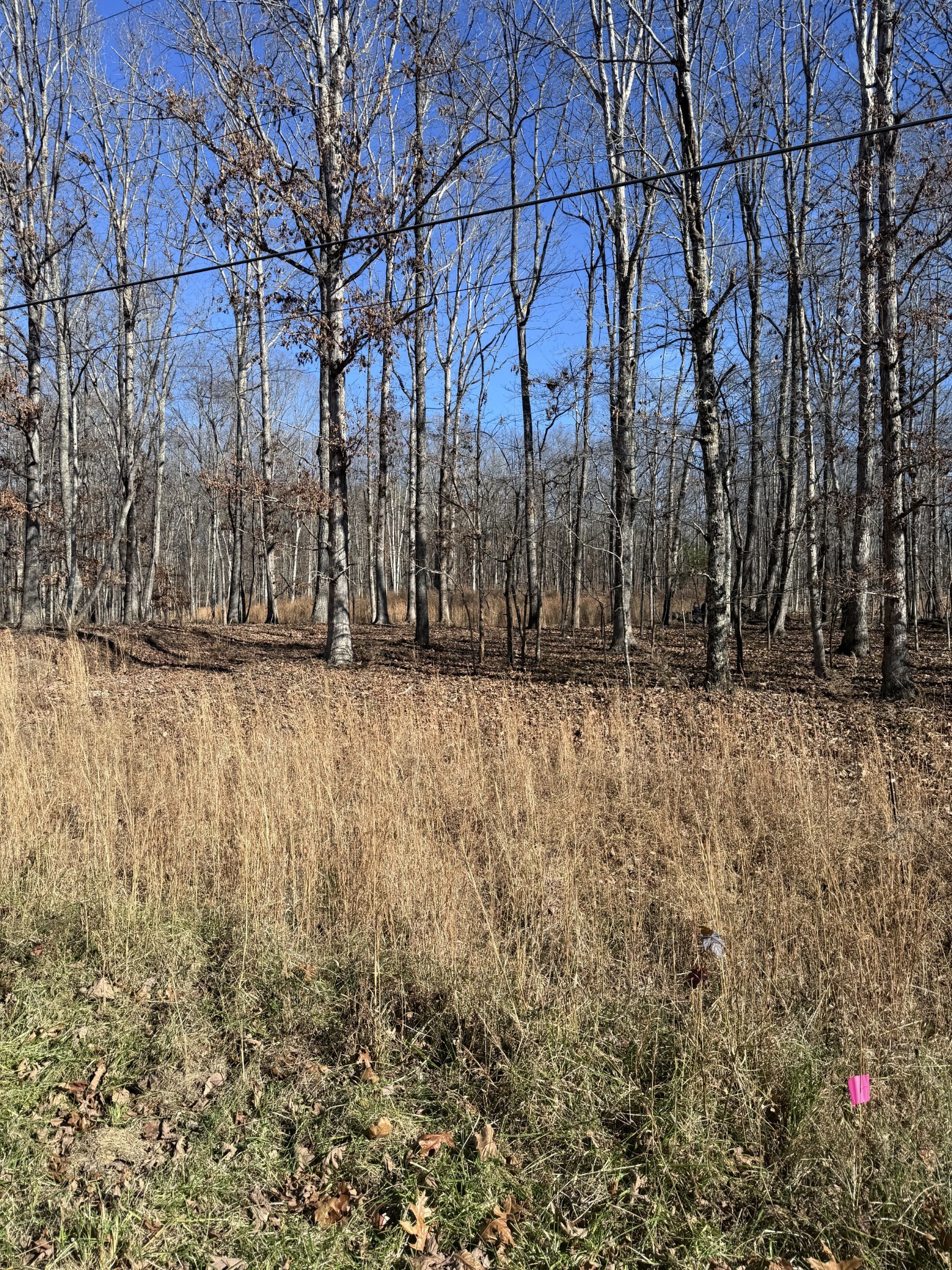 0 Deer Wood Dr