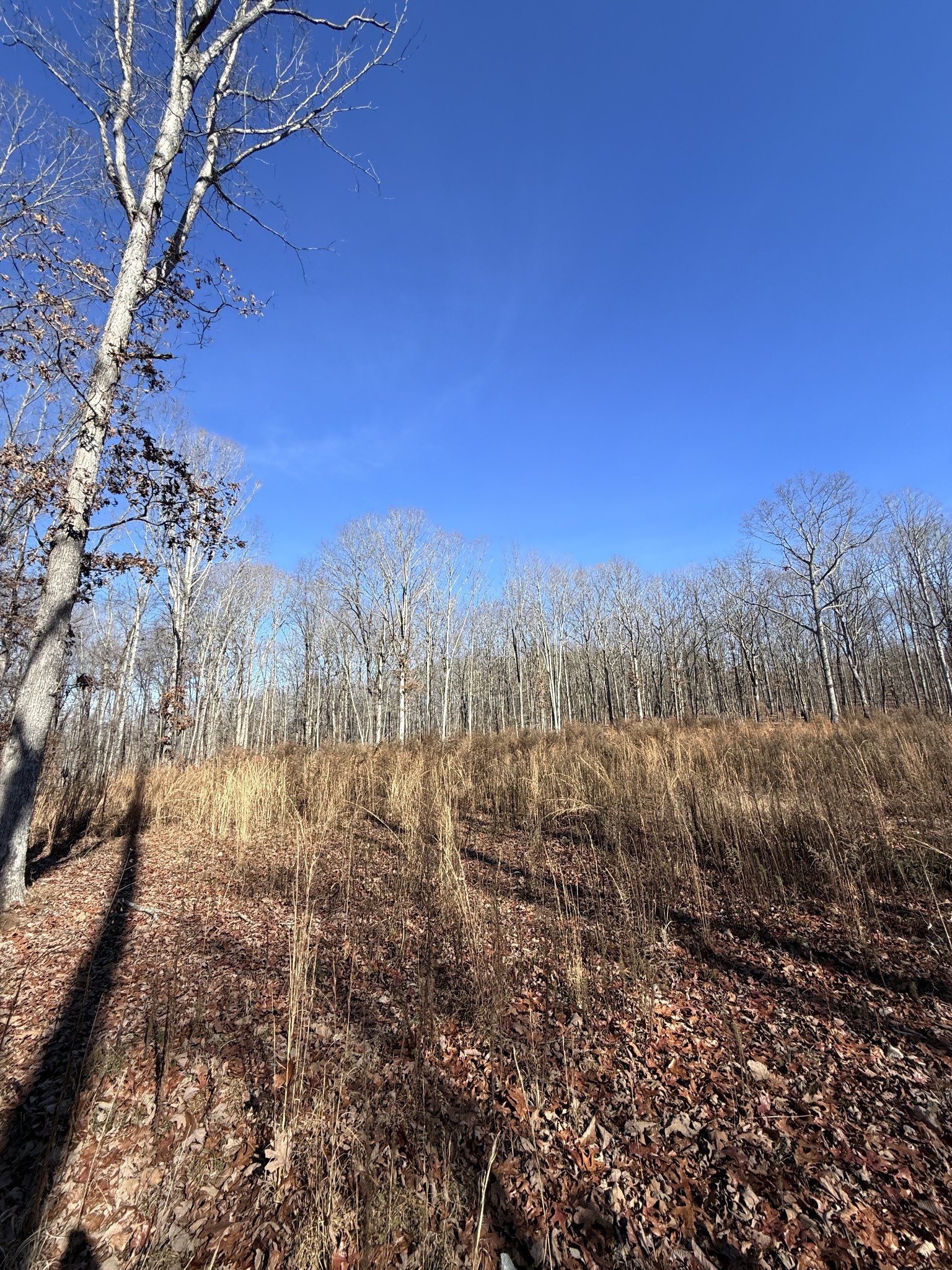 0 Deer Wood Dr