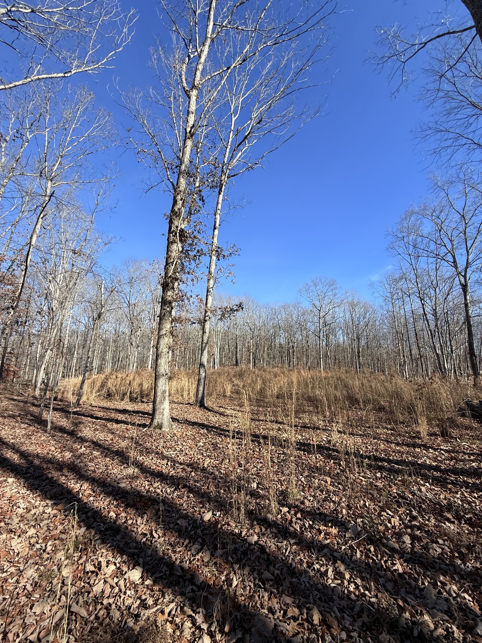 0 Deer Wood Dr