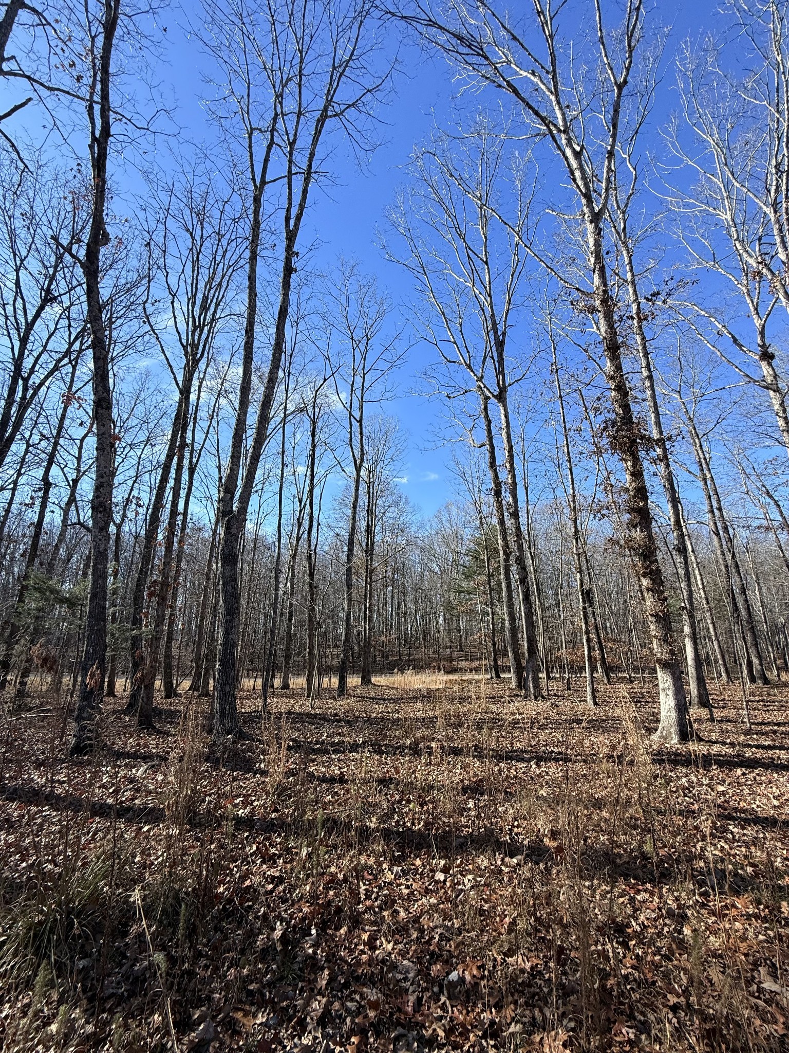 0 Deer Wood Dr