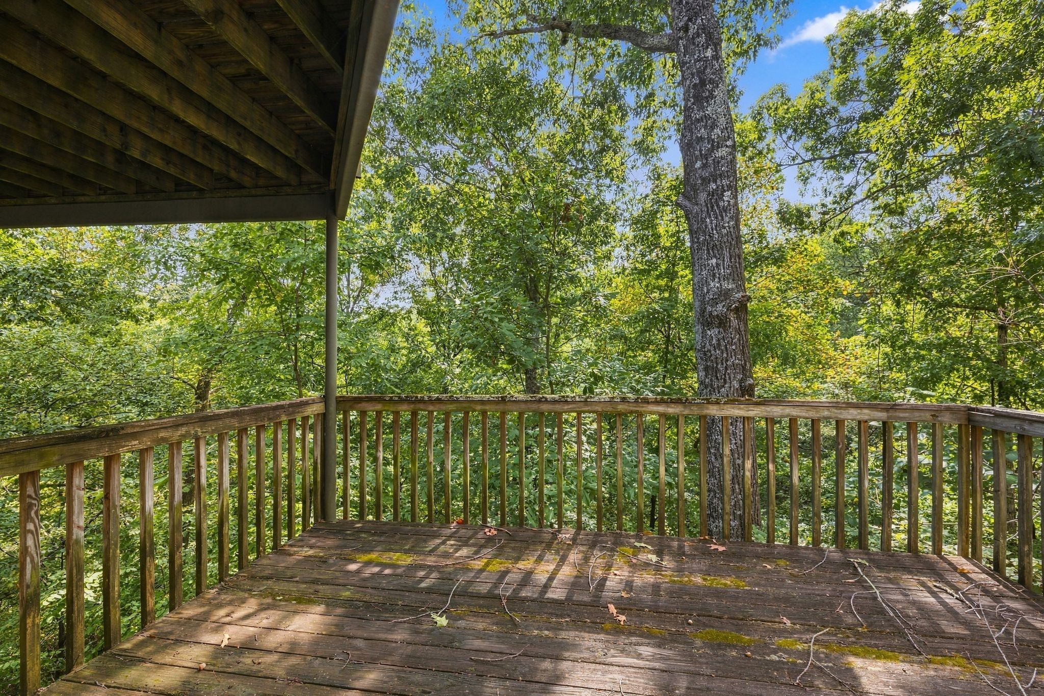 112 Harpeth Trace Ct